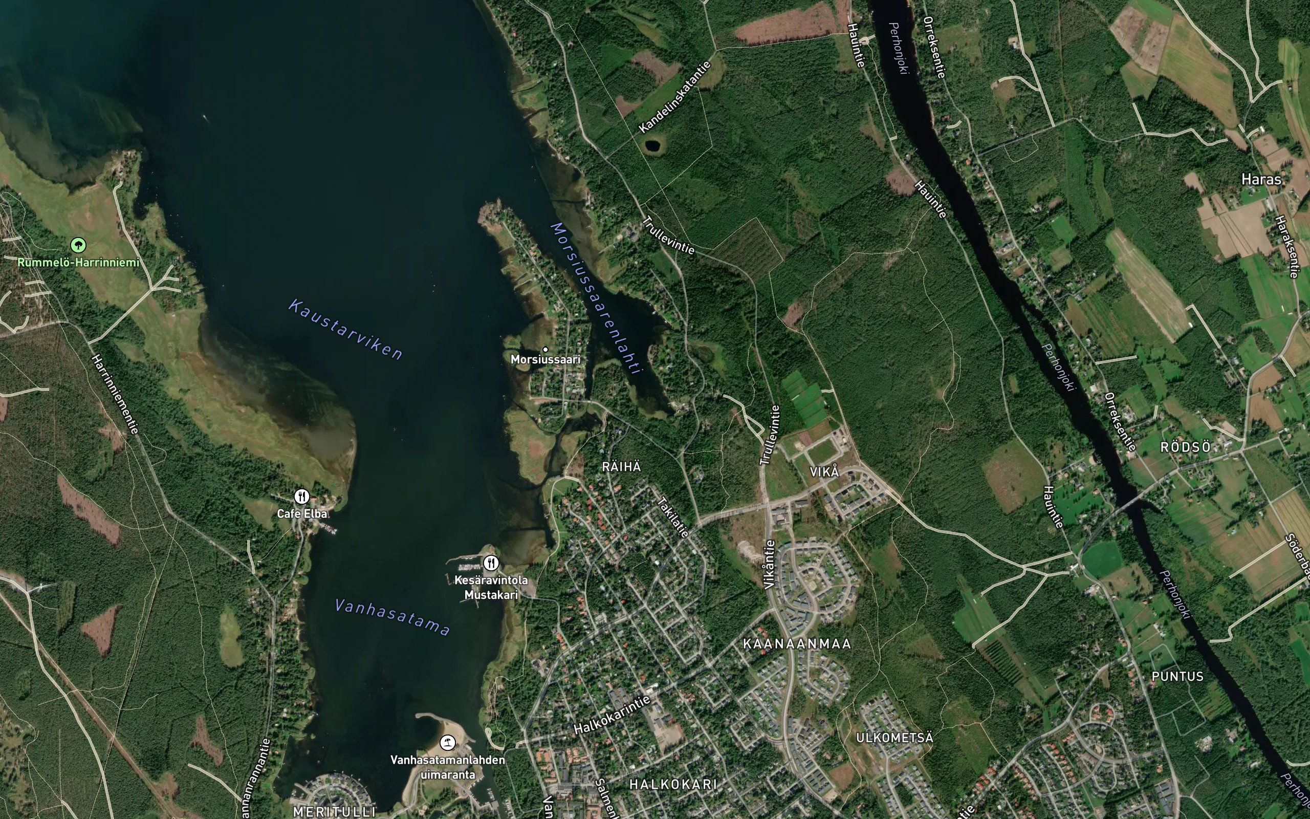 Vikaviken