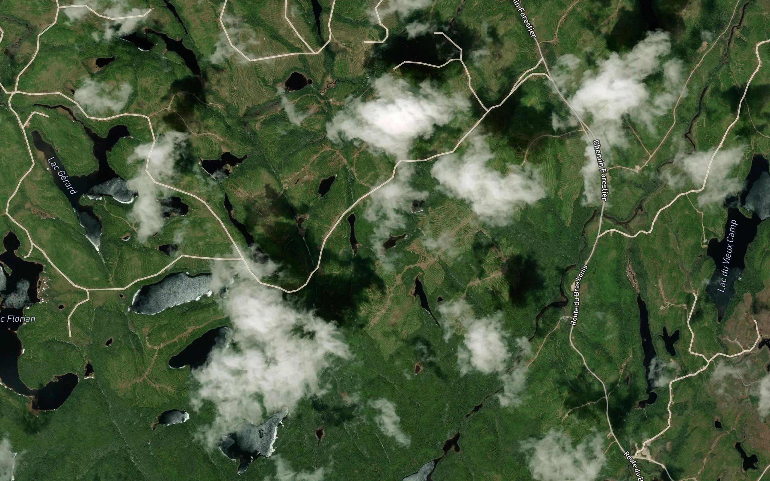 Lac de la Paruline