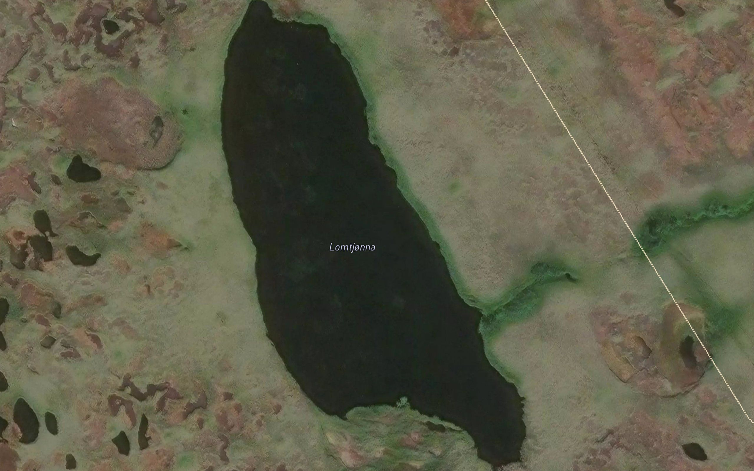 Lomtjonna