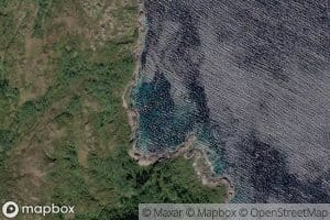 Krakvika