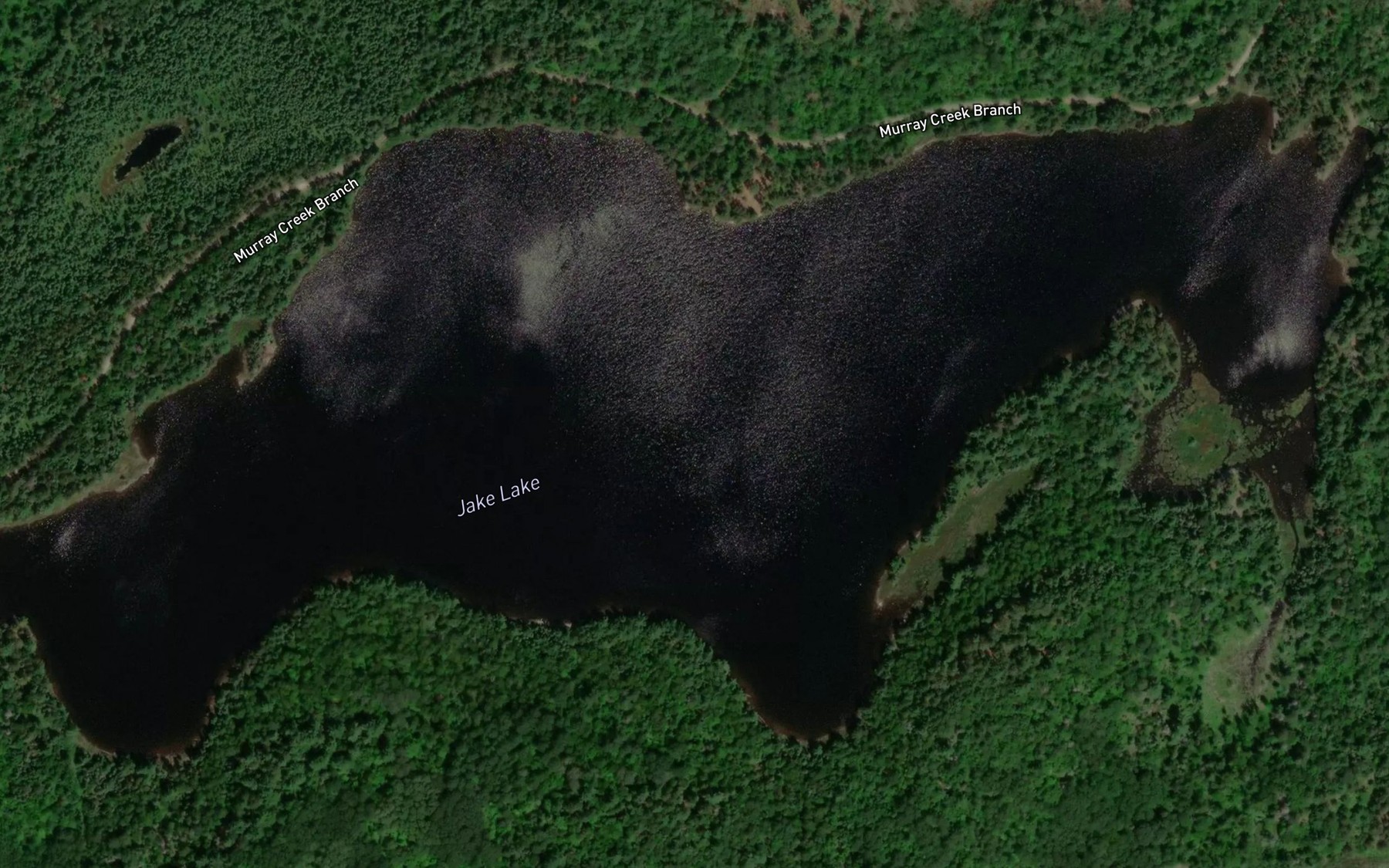 Satellite map of the Jake Lake