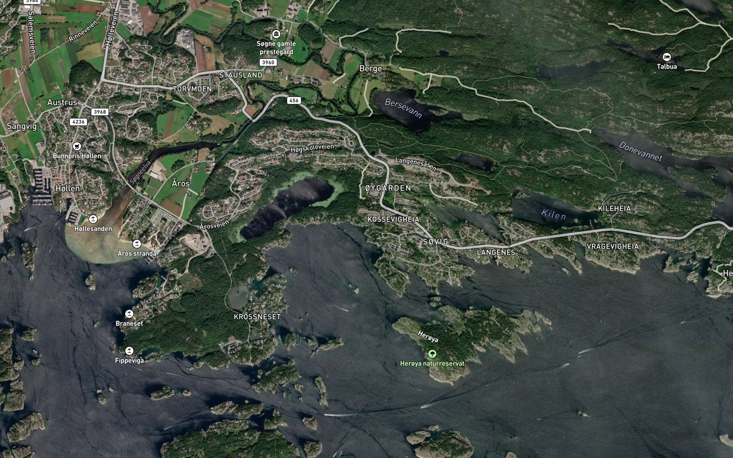 Kusseviga