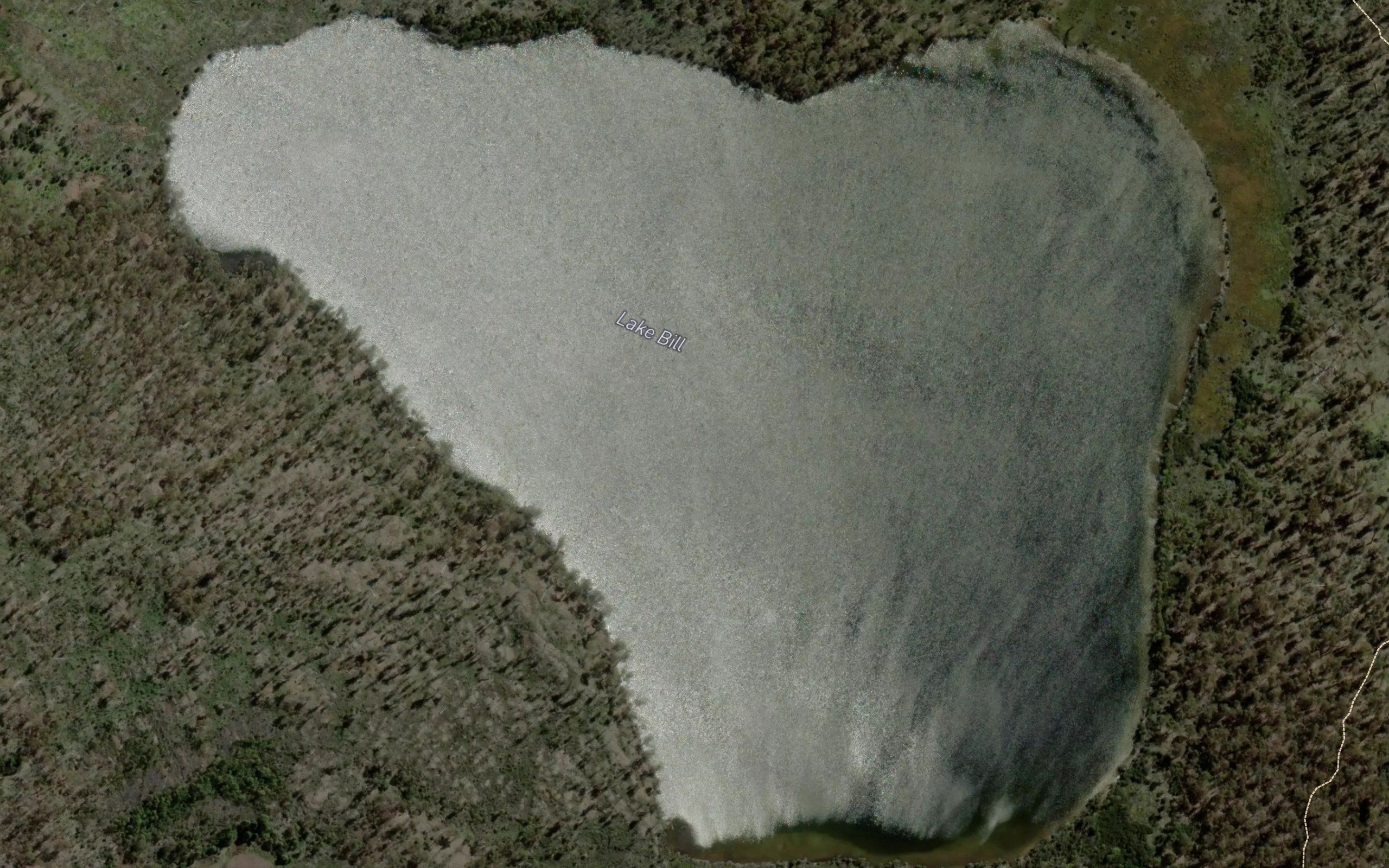 Lake Bill