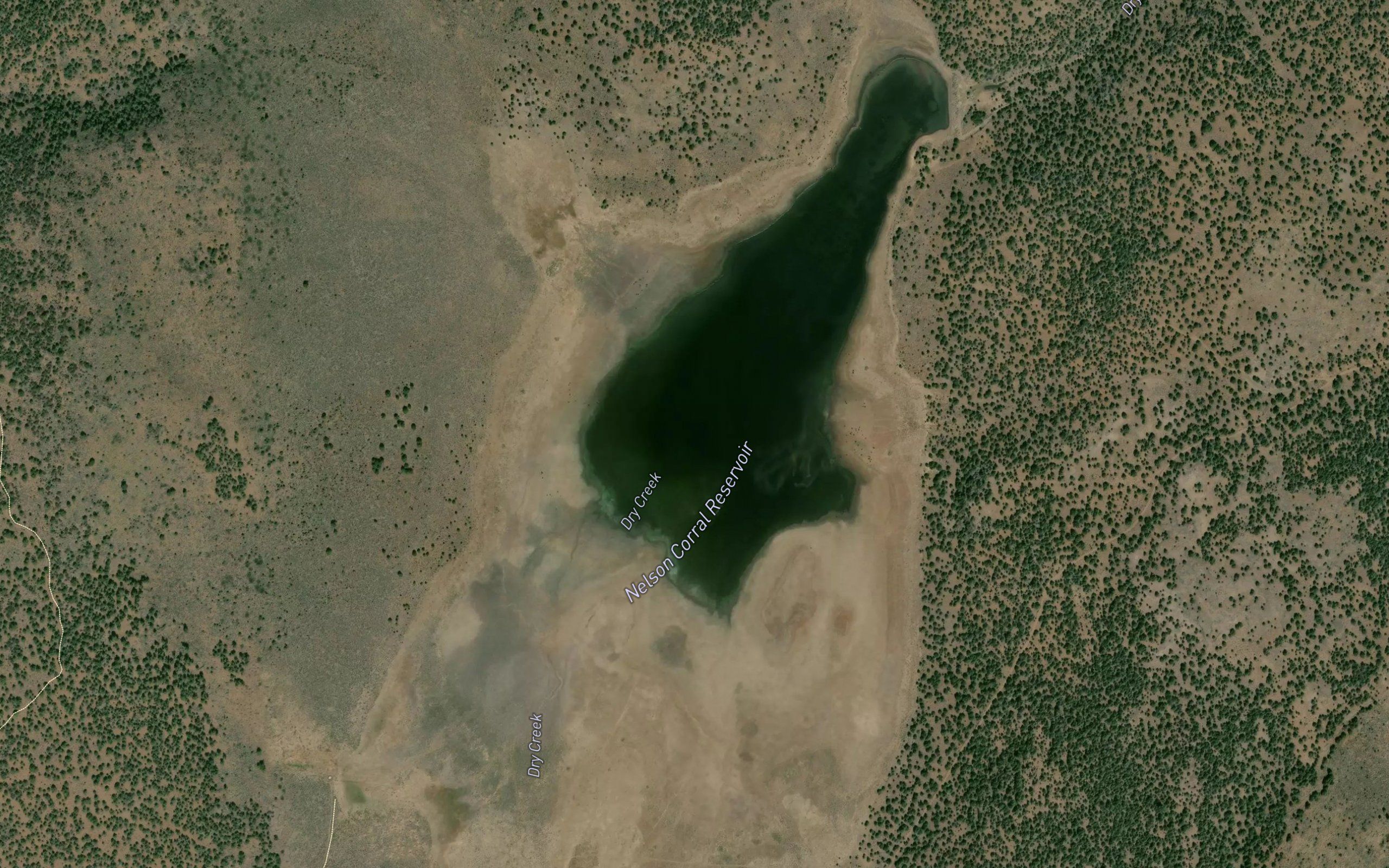 Nelson Corral Reservoir