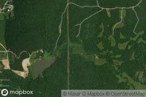 Buntyn Creek