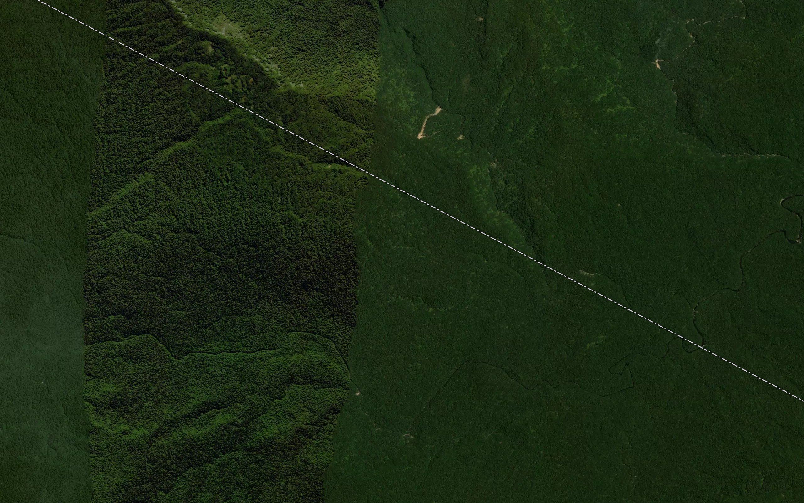 Te Rake Stream
