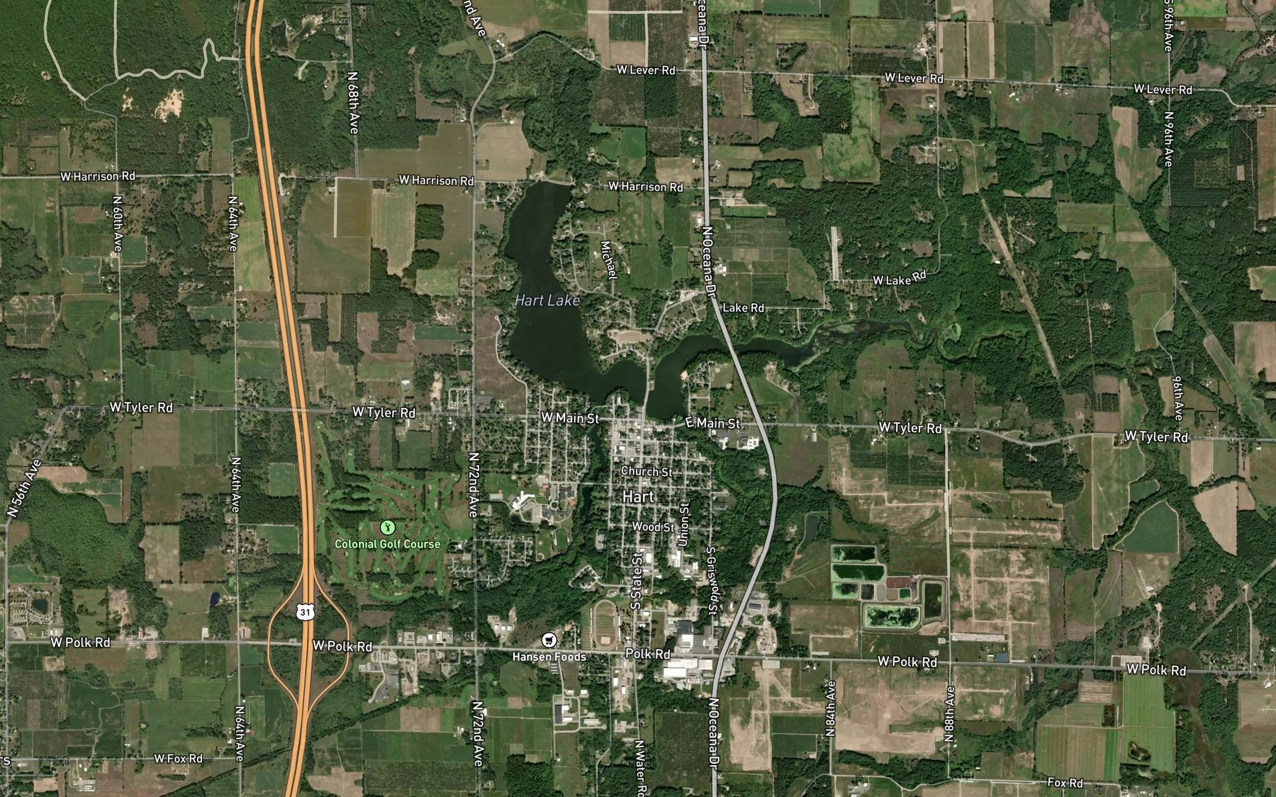Satellite map of the South Branch Pentwater River