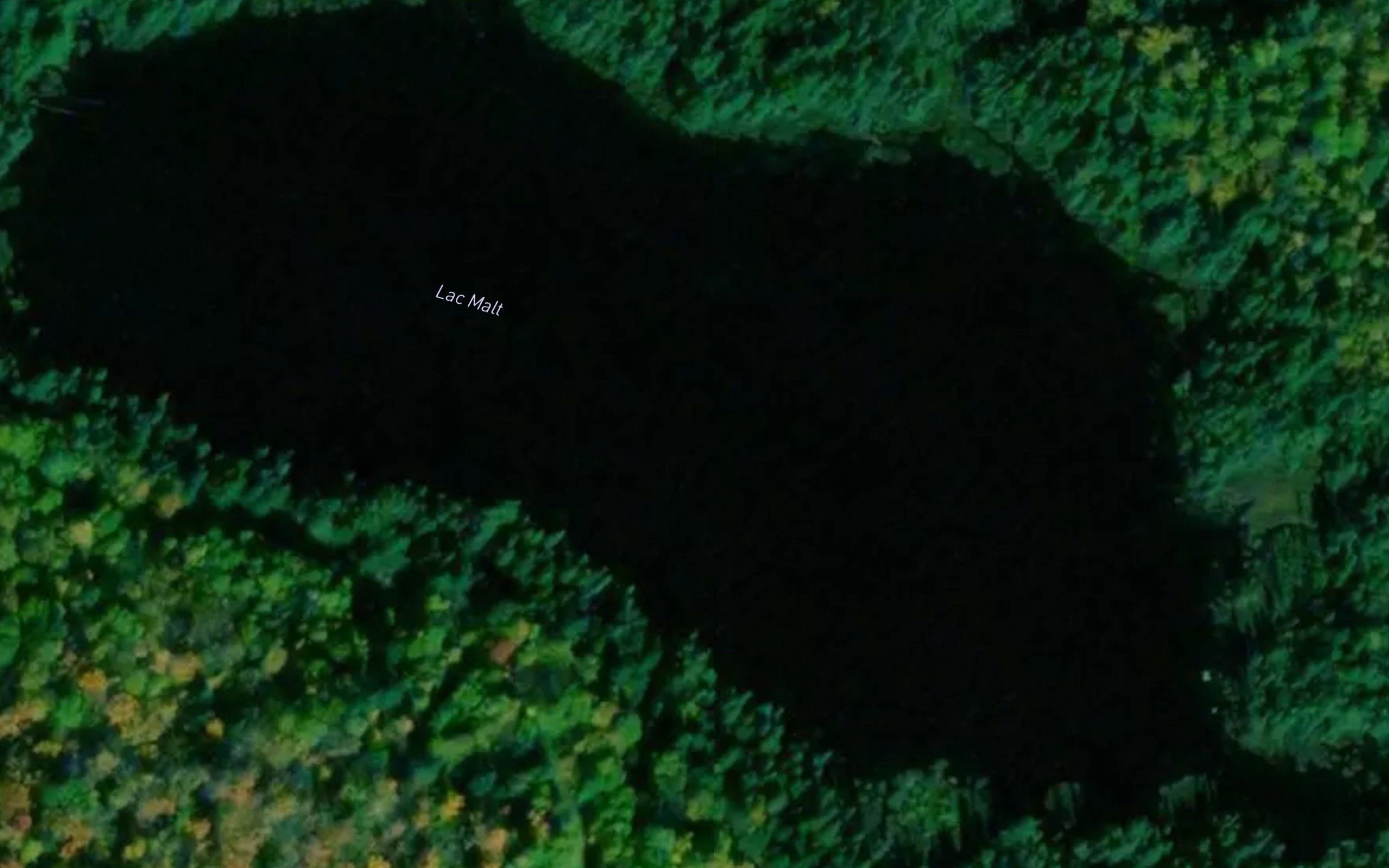 Lac Malt
