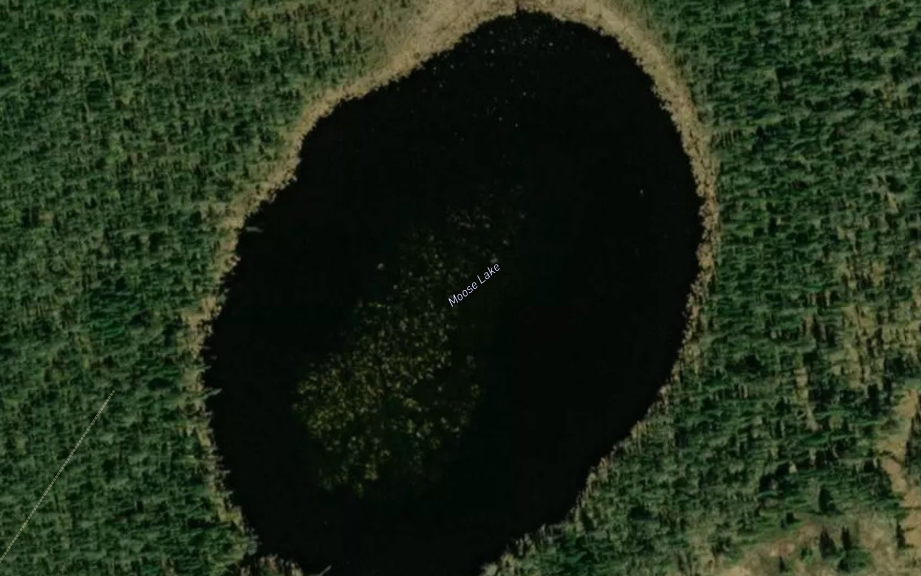Satellite map of the Moose Lake