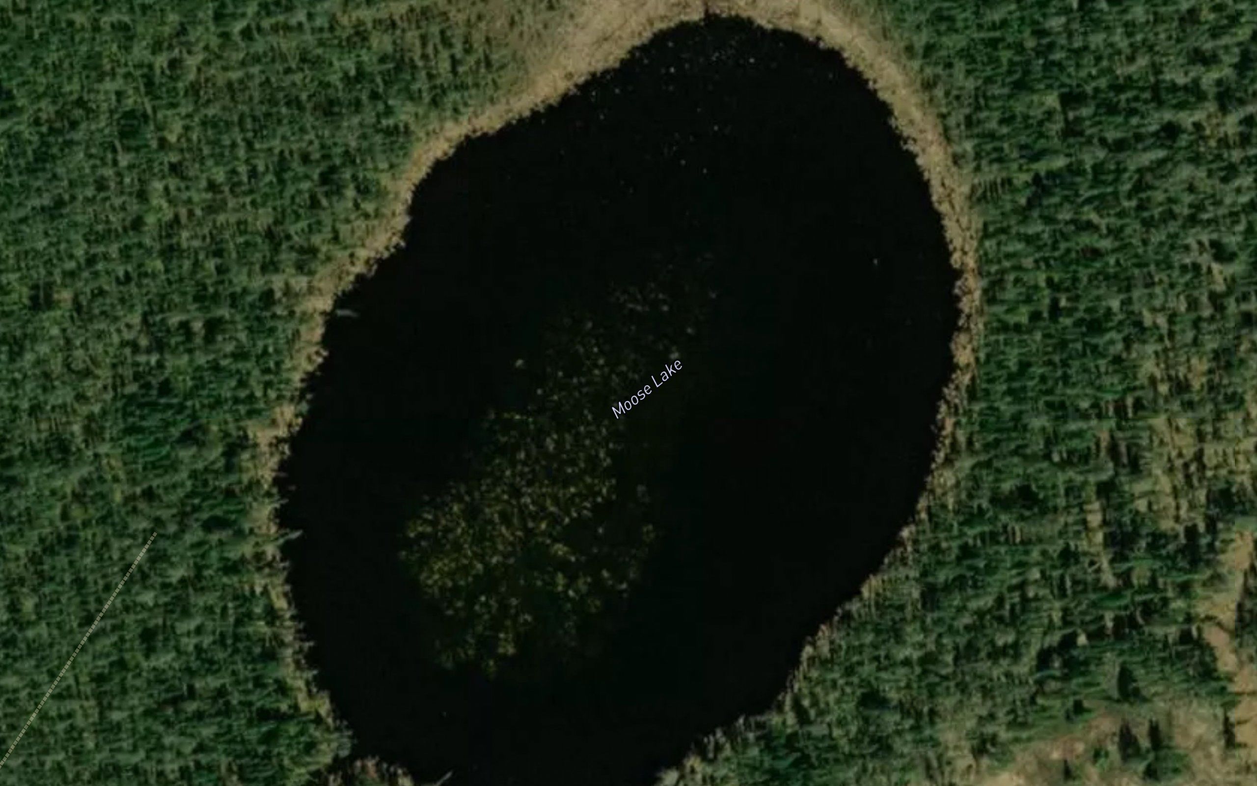 Moose Lake