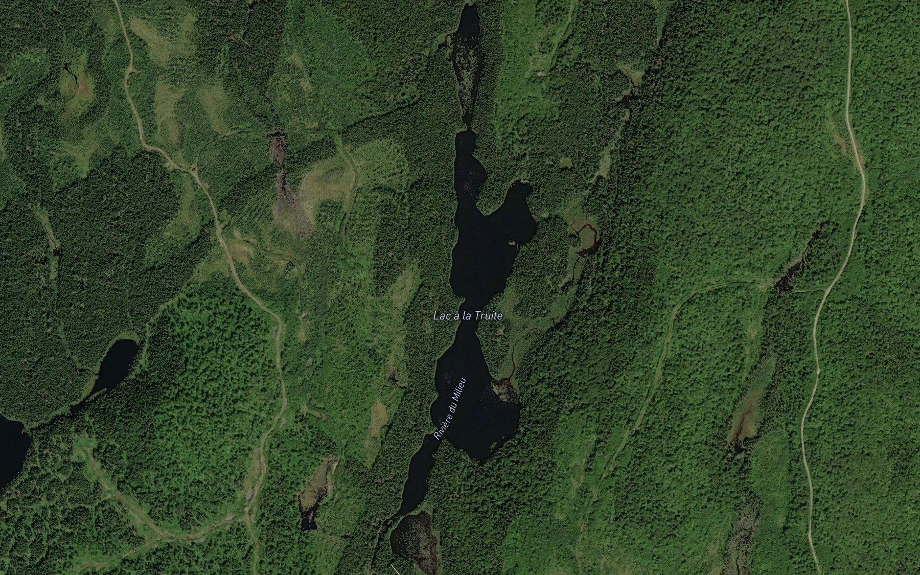 Satellite map of the Lac a la Truite