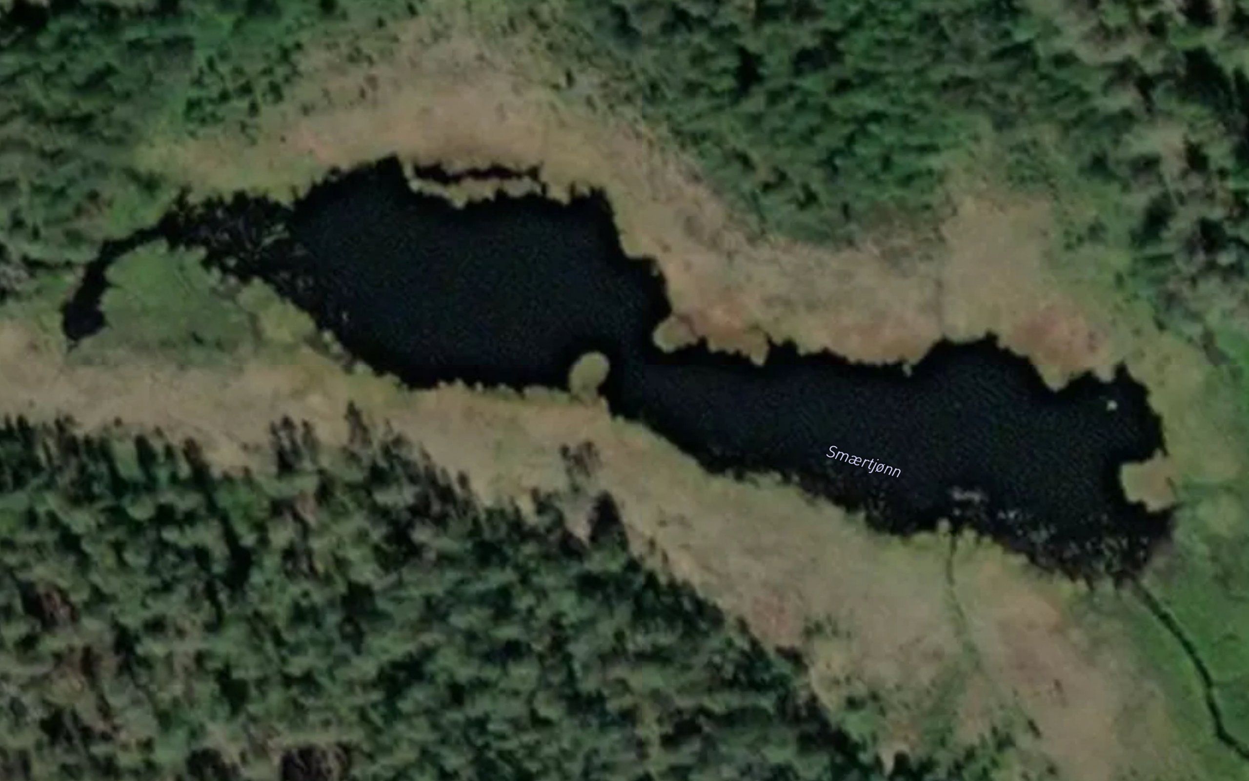 Smaertjonn