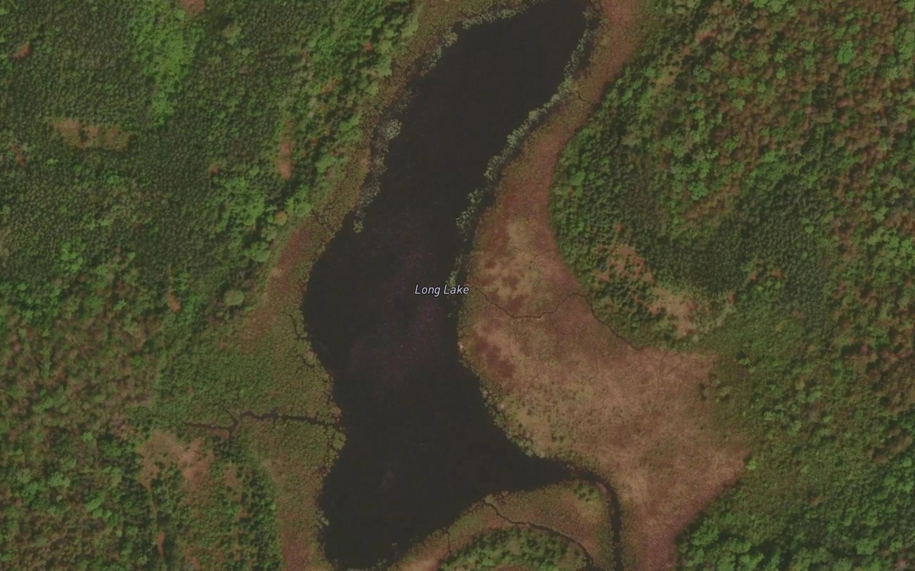 Satellite map of the Long Lake