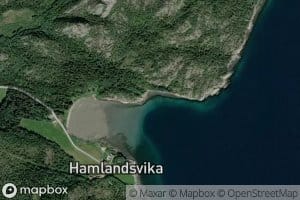 Reiervika