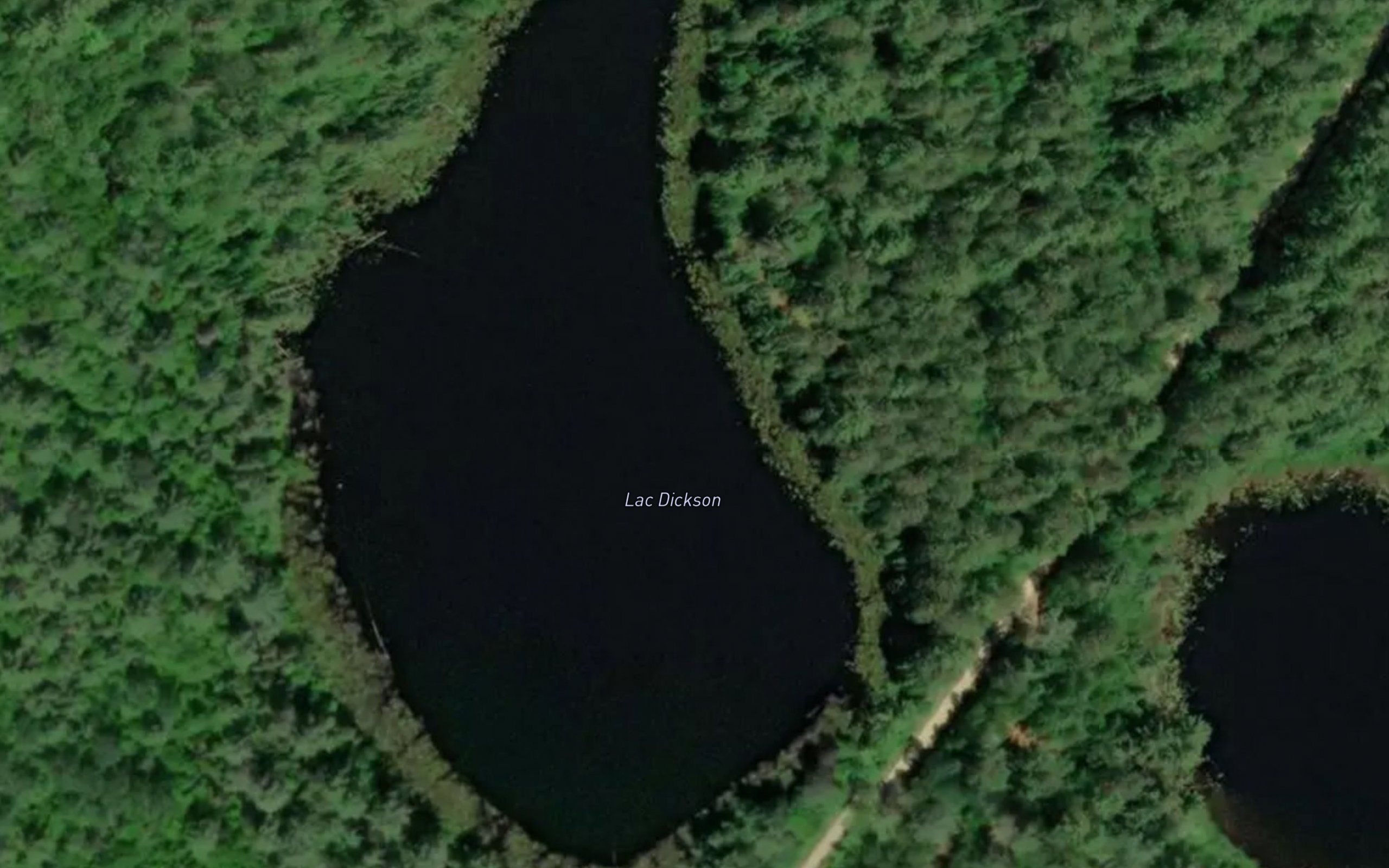 Lac Dickson
