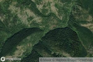 Lookout Creek