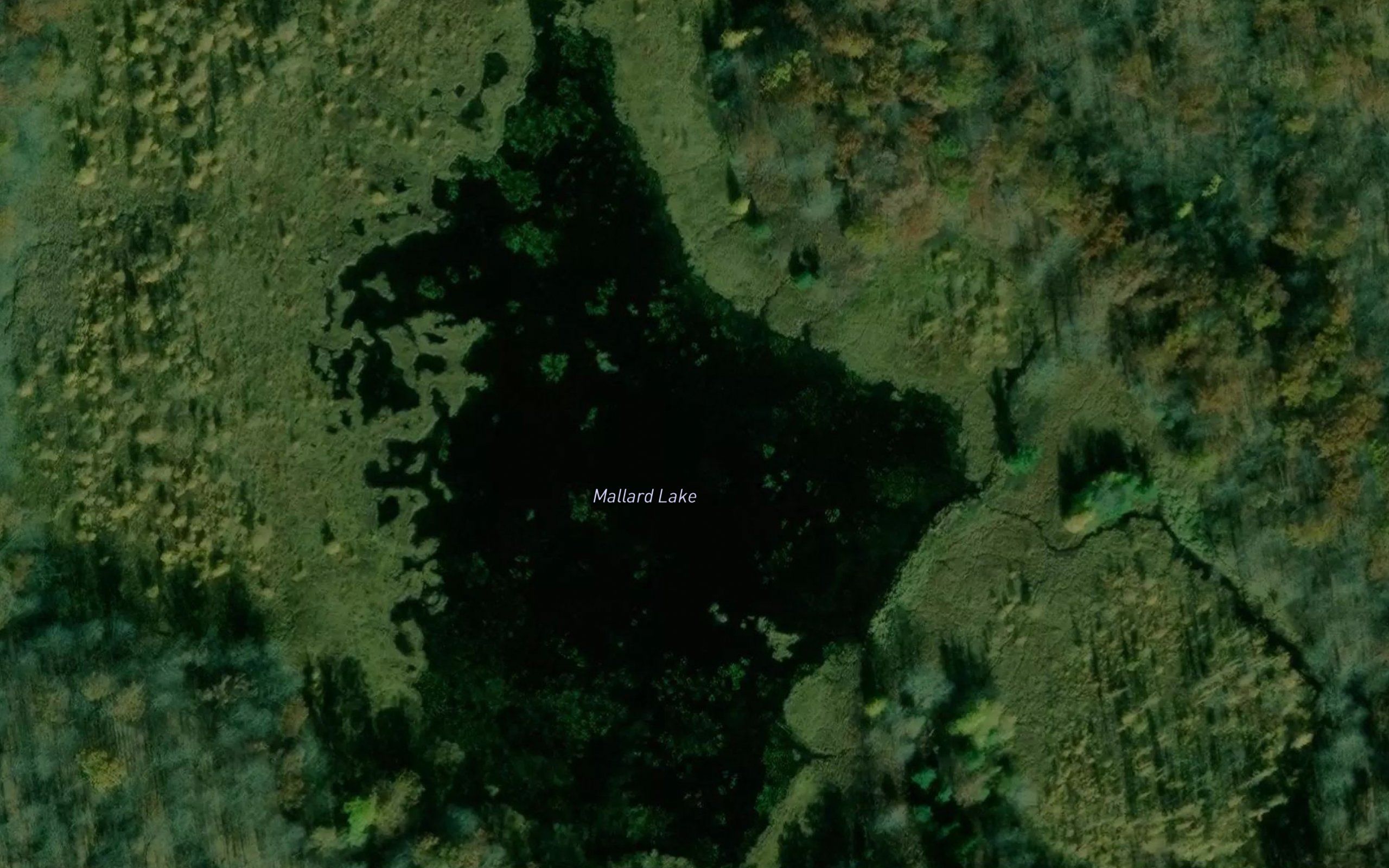 Mallard Lake
