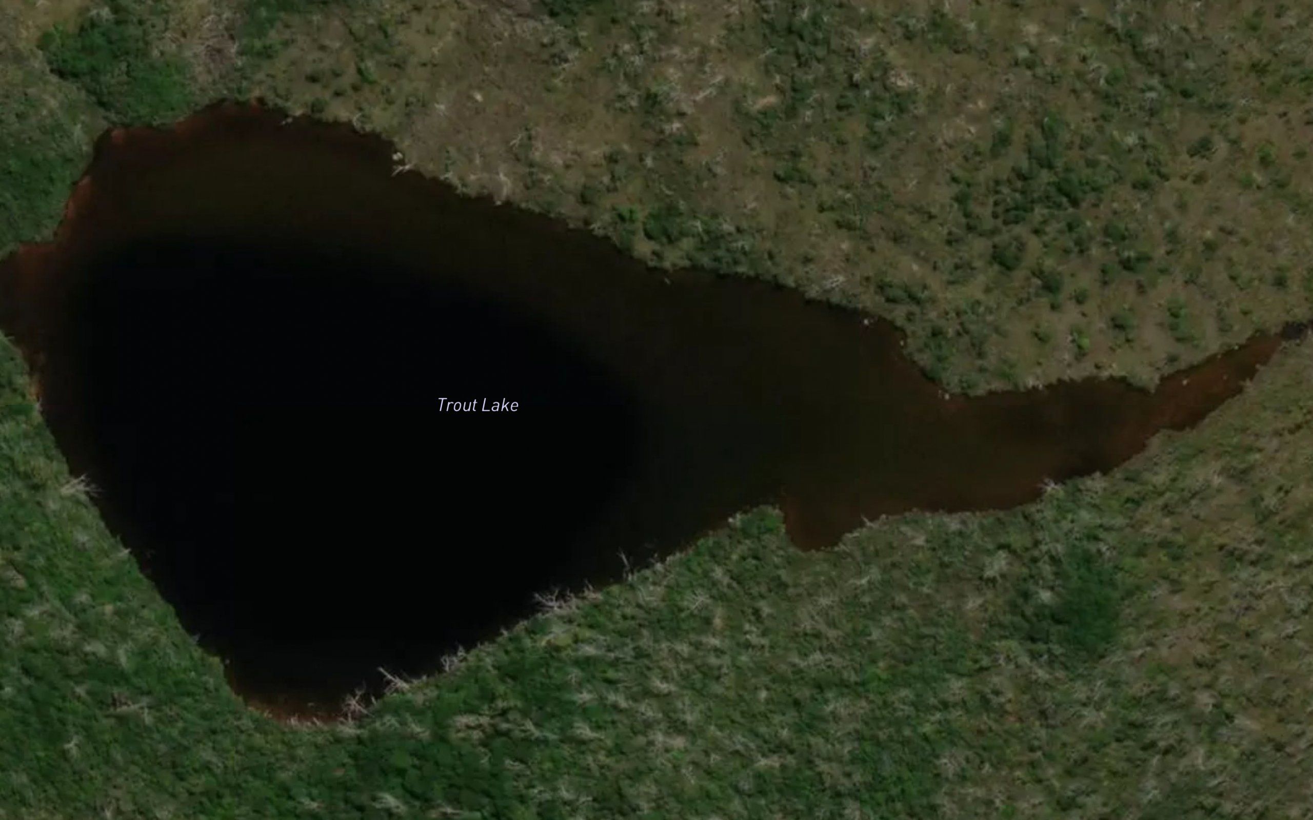 Trout Lake