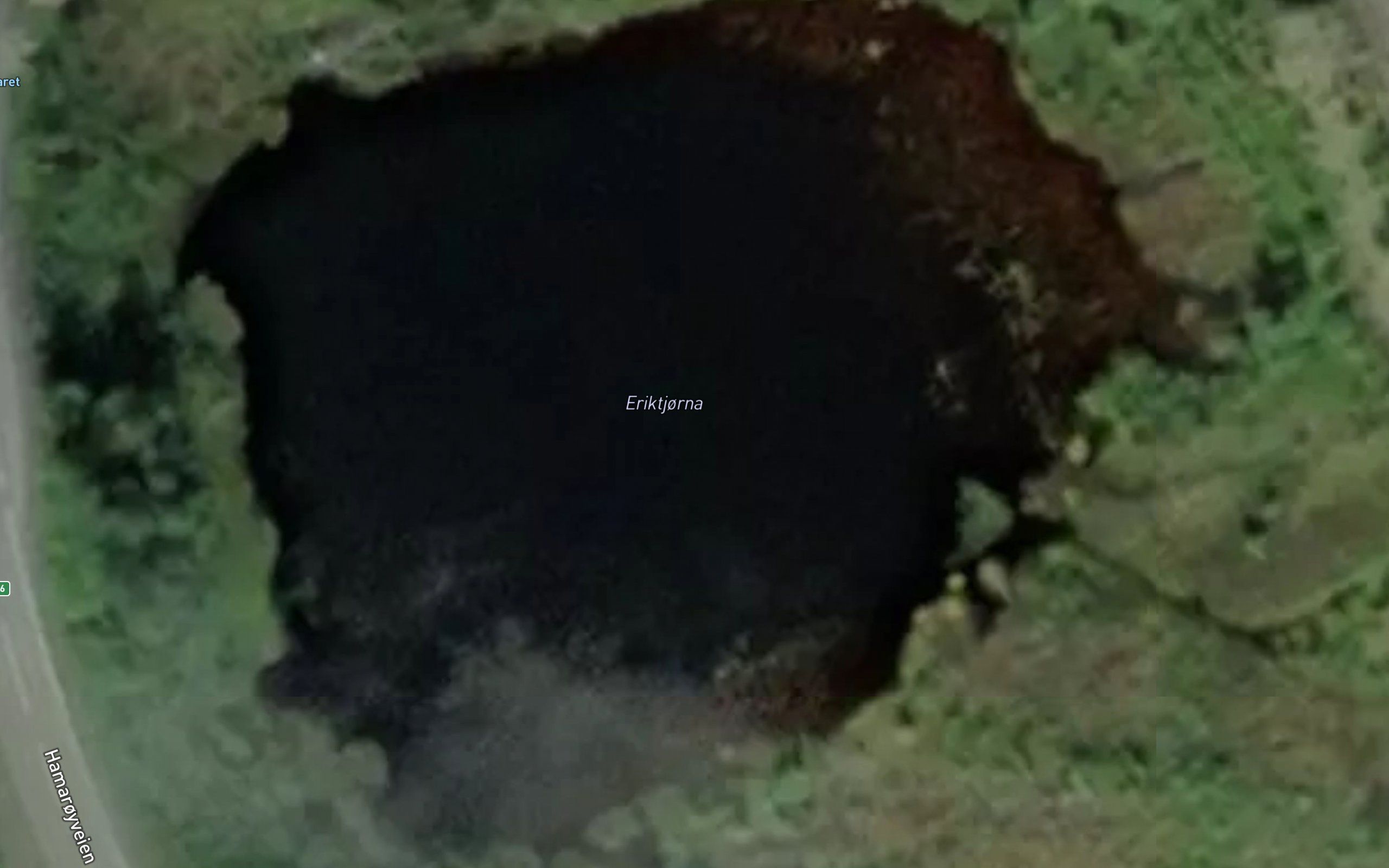 Eriktjorna