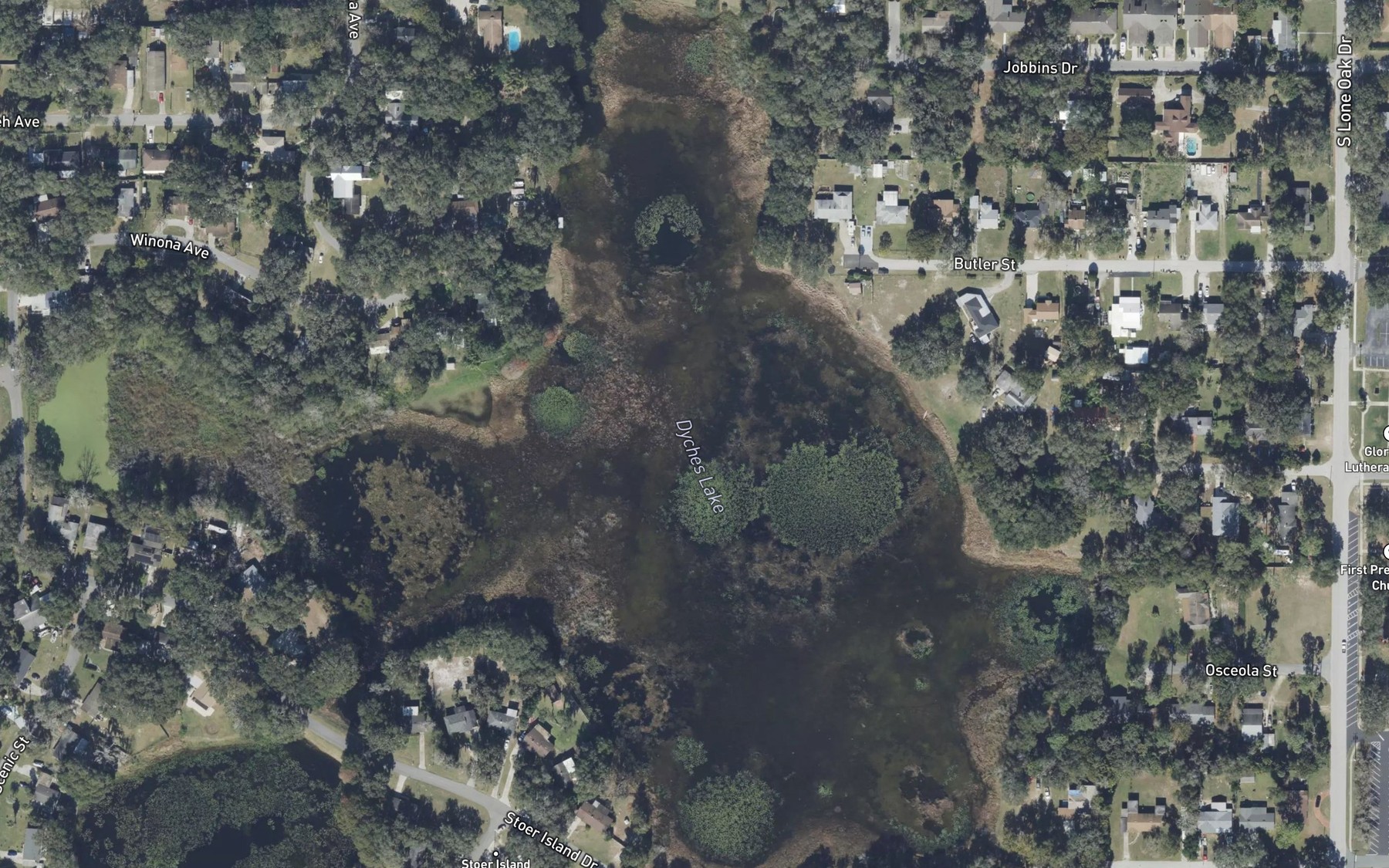 Satellite map of the Dyches Lake