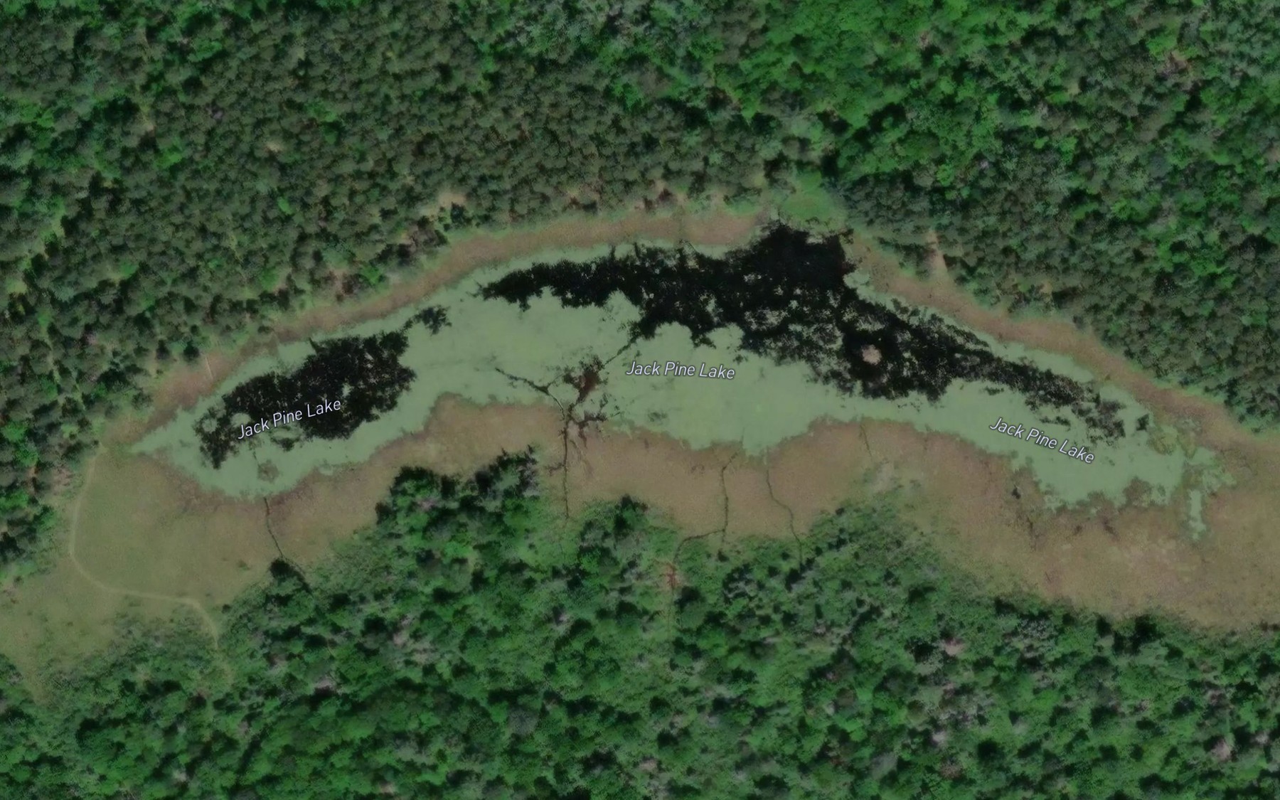 Satellite map of the Jack Pine Lake