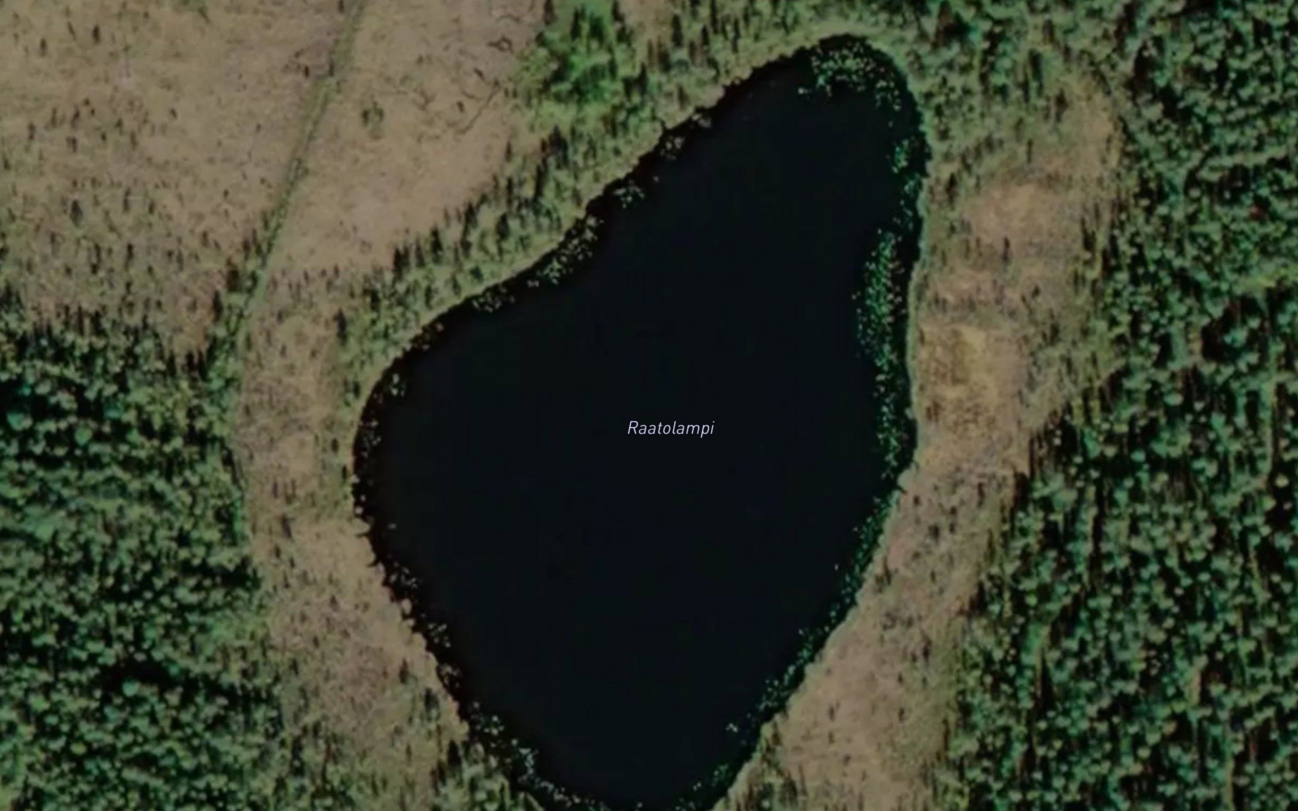 Raatolampi