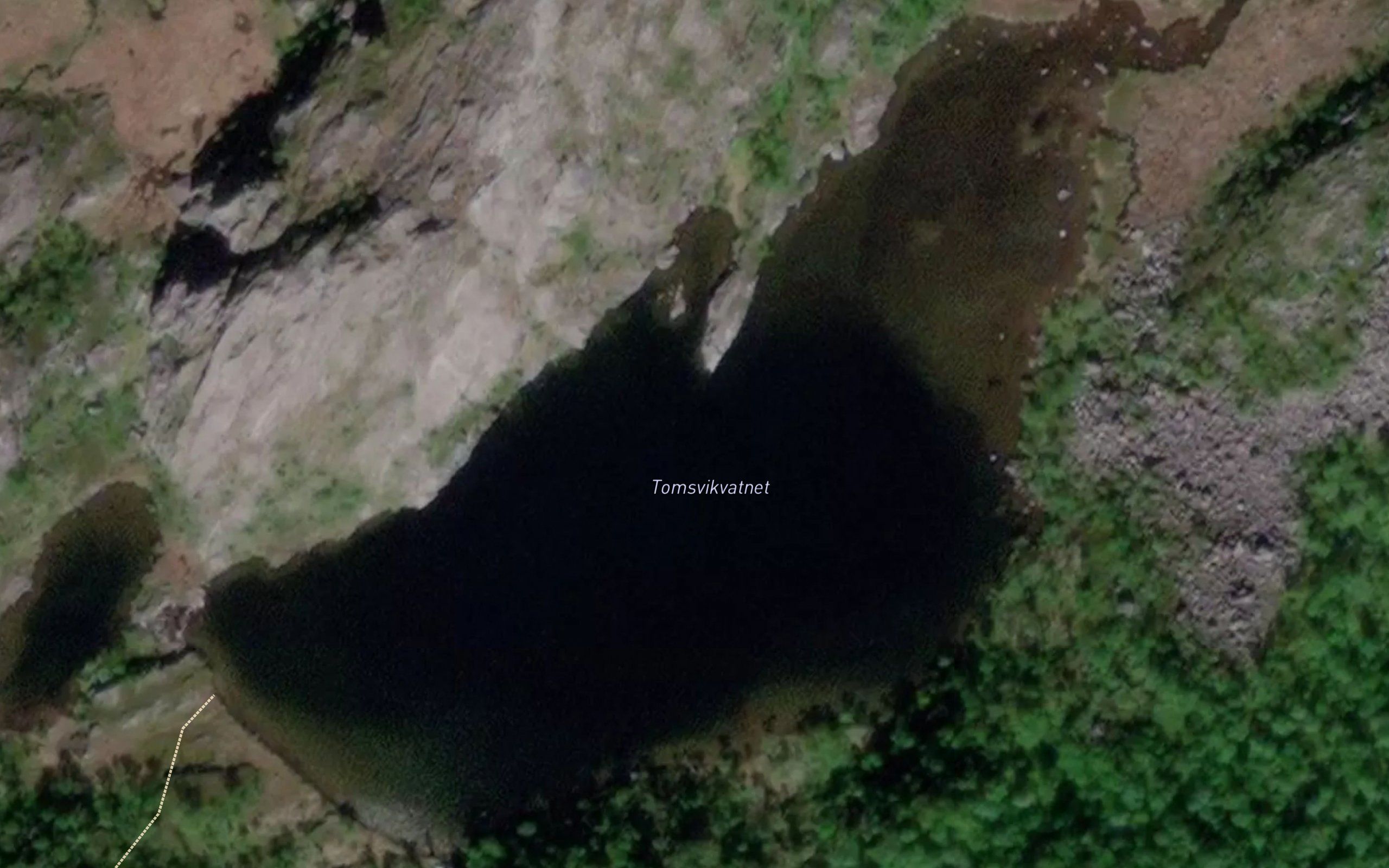 Tomsvikvatnet