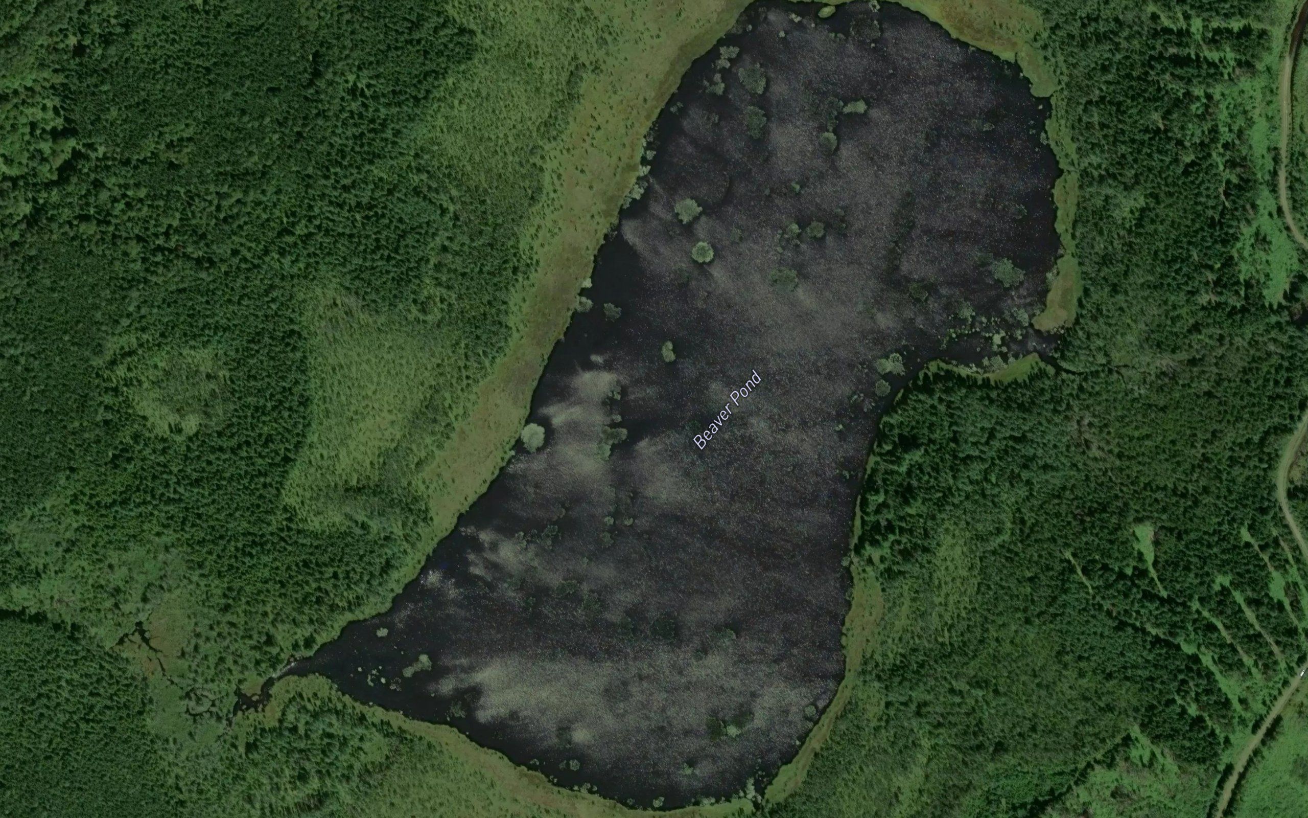 Beaver Pond