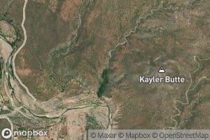 Kayler Spring