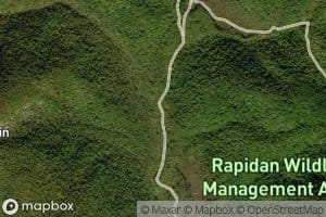 Bush Mountain Stream