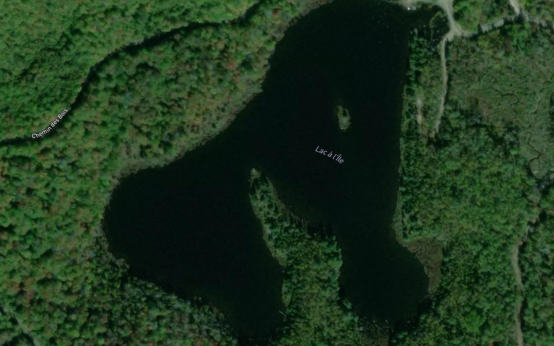 Satellite map of the Lac a l'Ile
