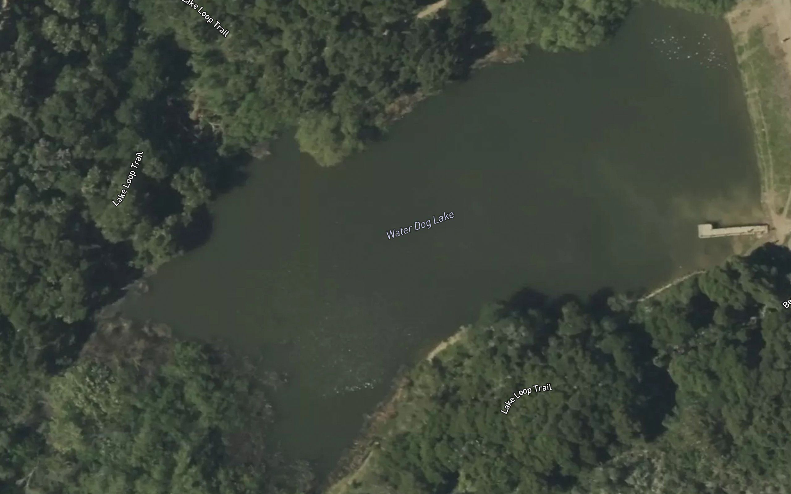 Water Dog Lake