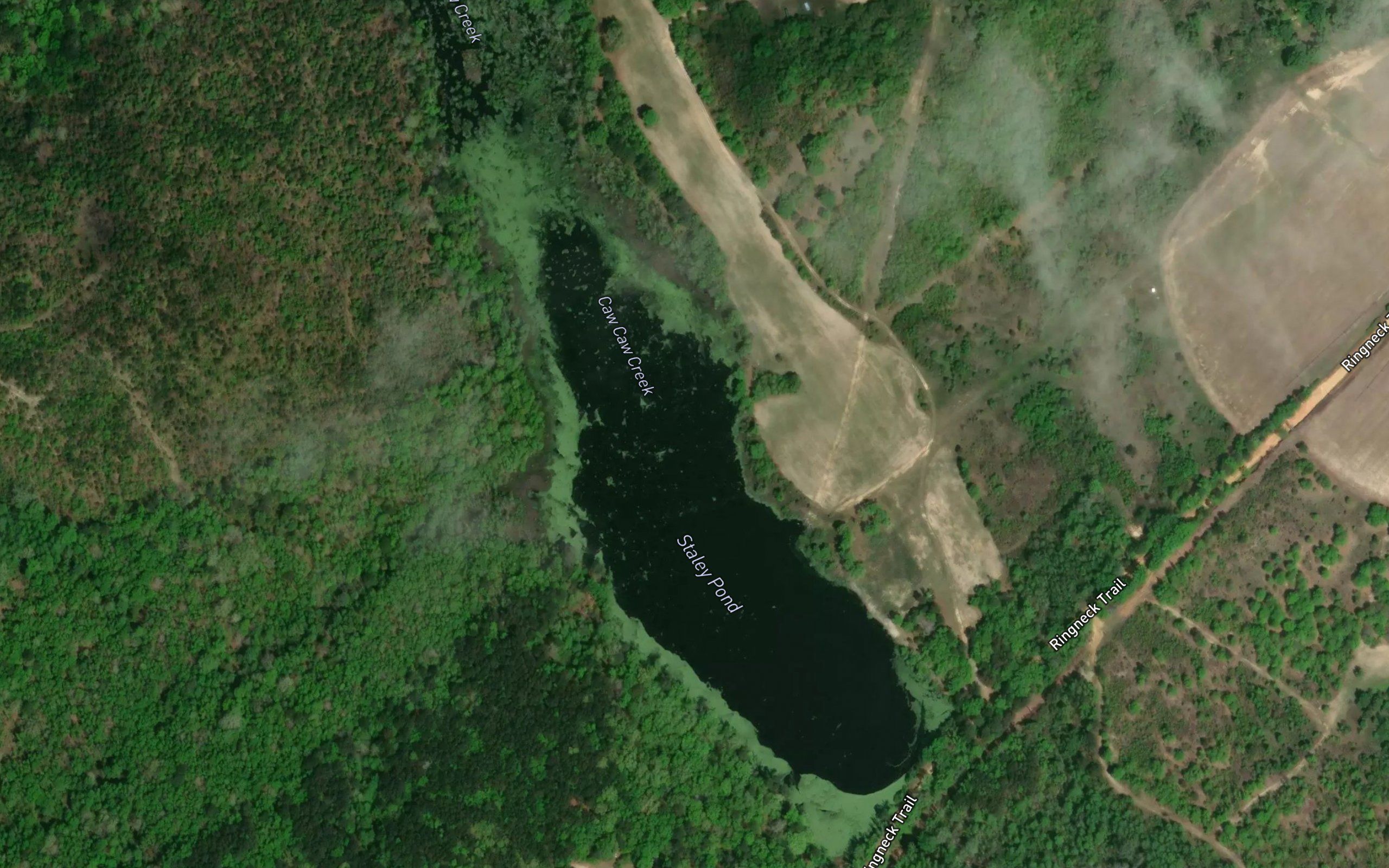 Staley Pond