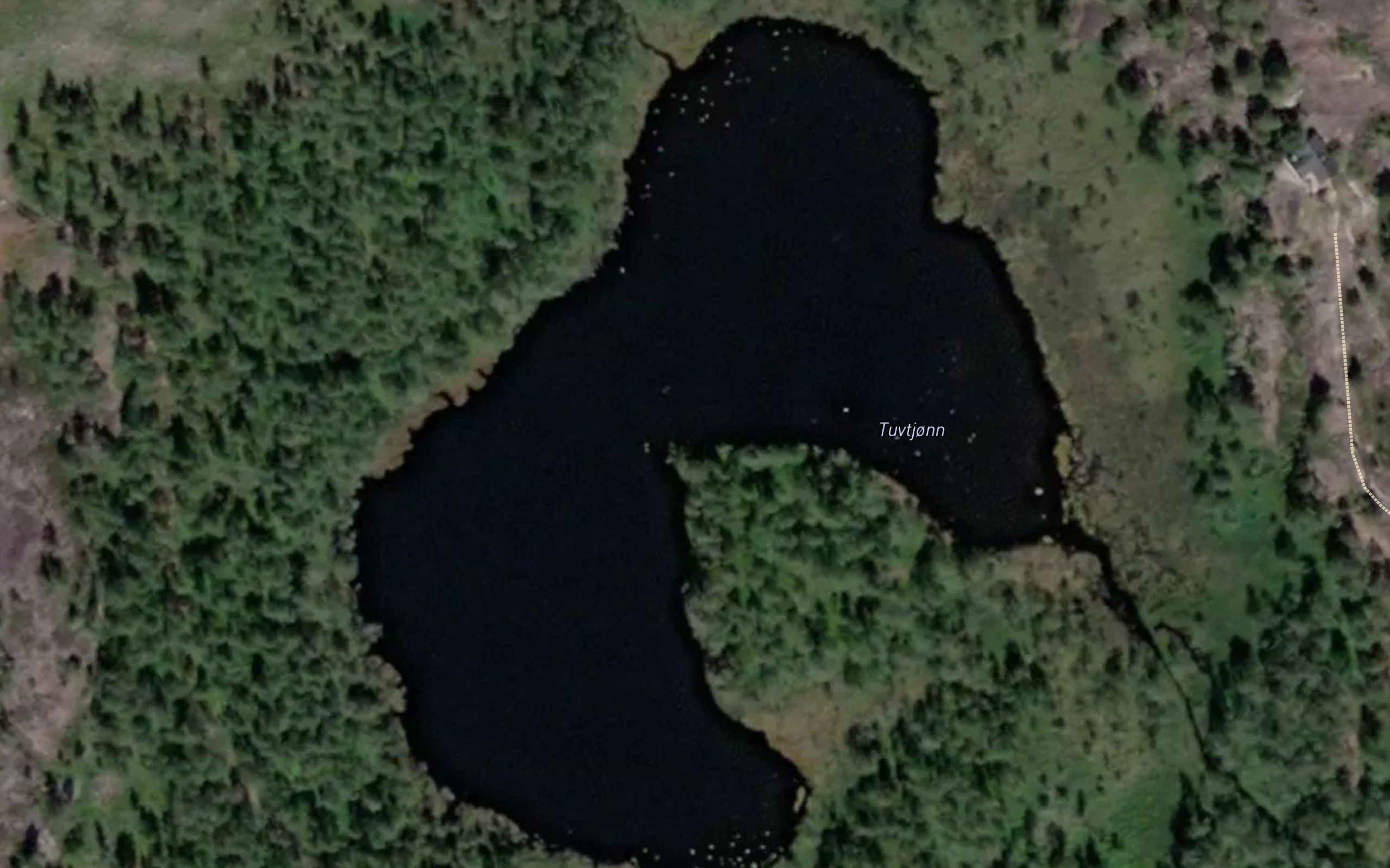 Tuvtjonn