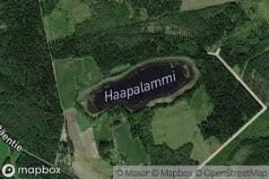 Haapalammi