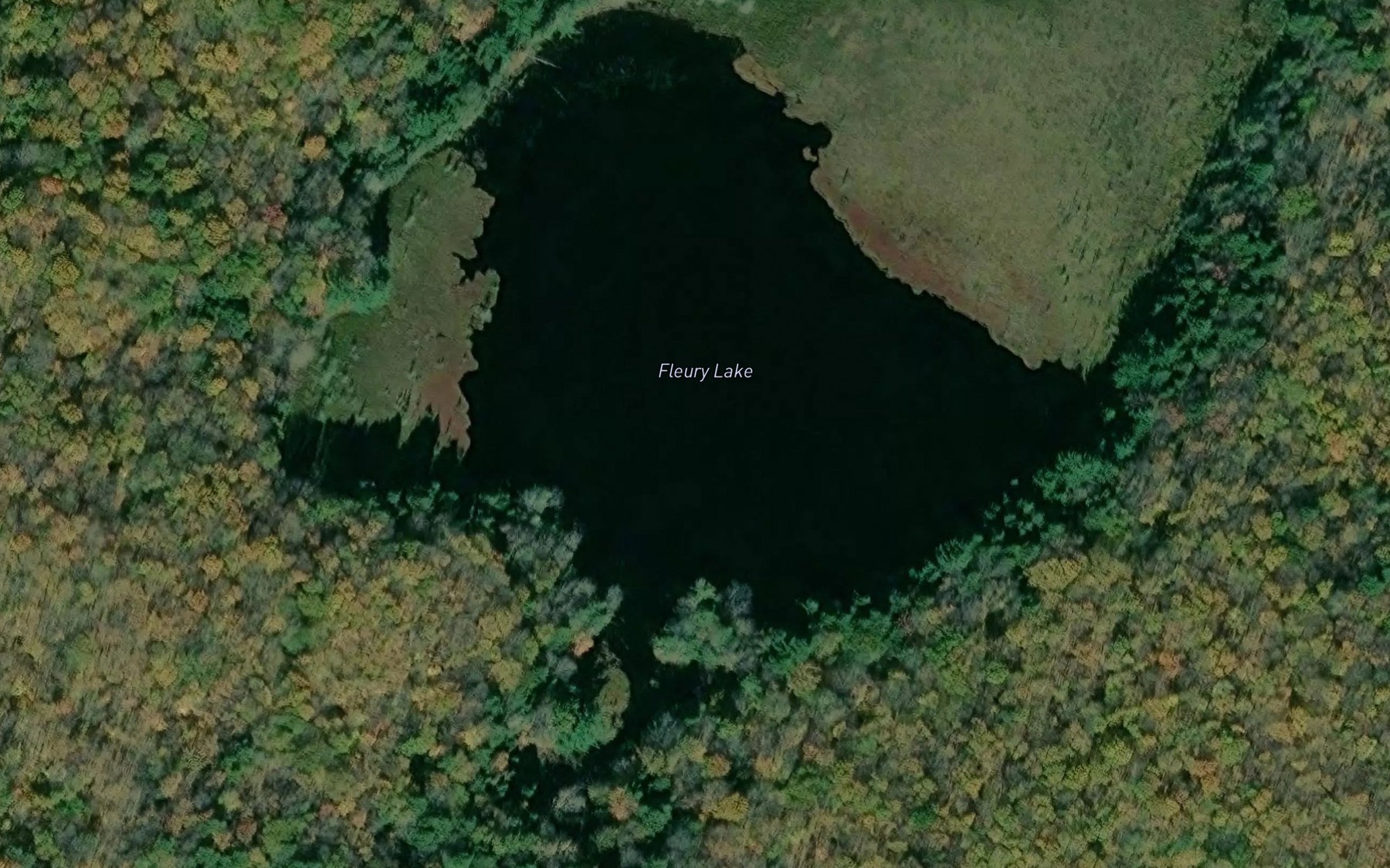 Satellite map of the Fleury Lake