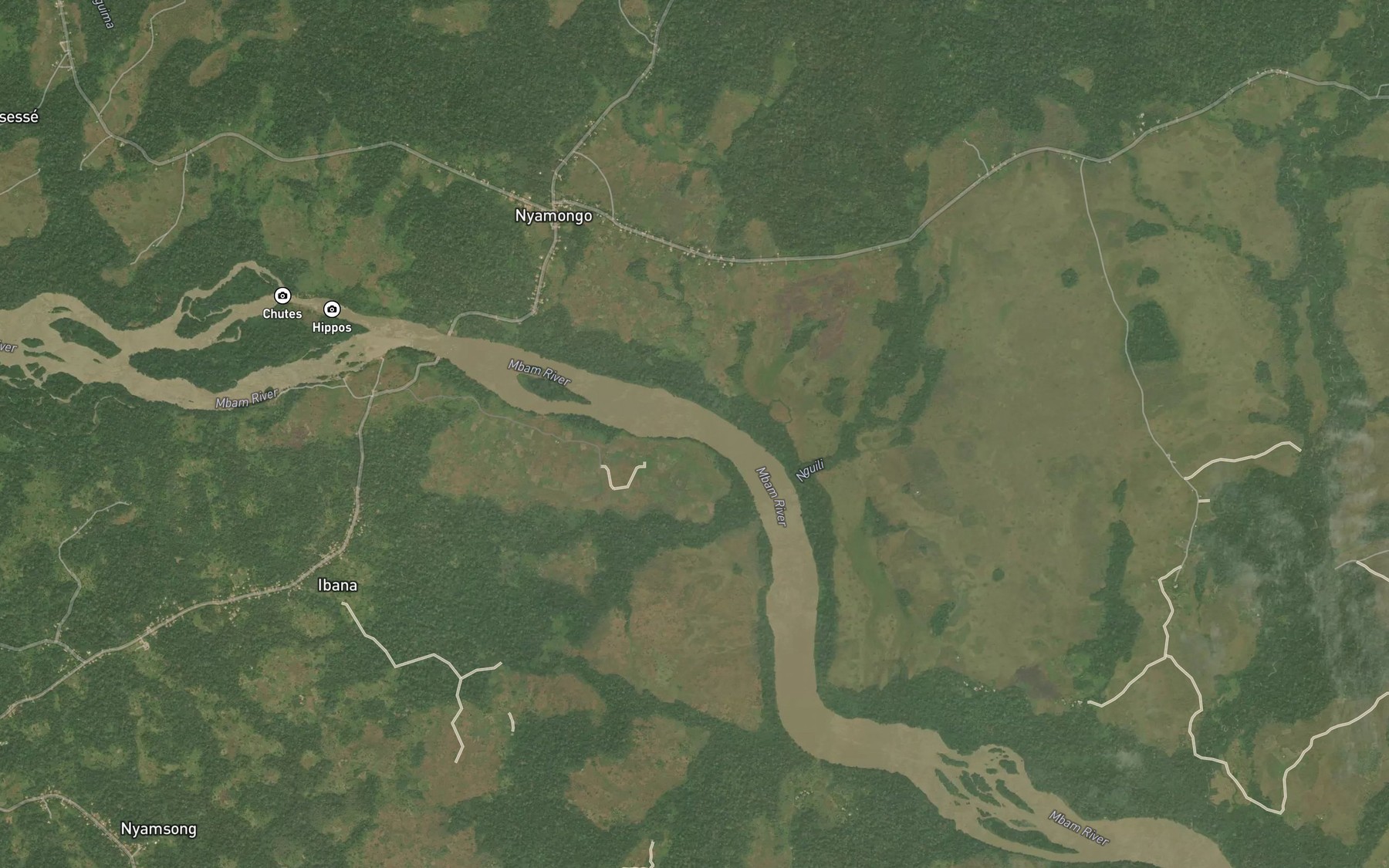 Satellite map of the Ngili