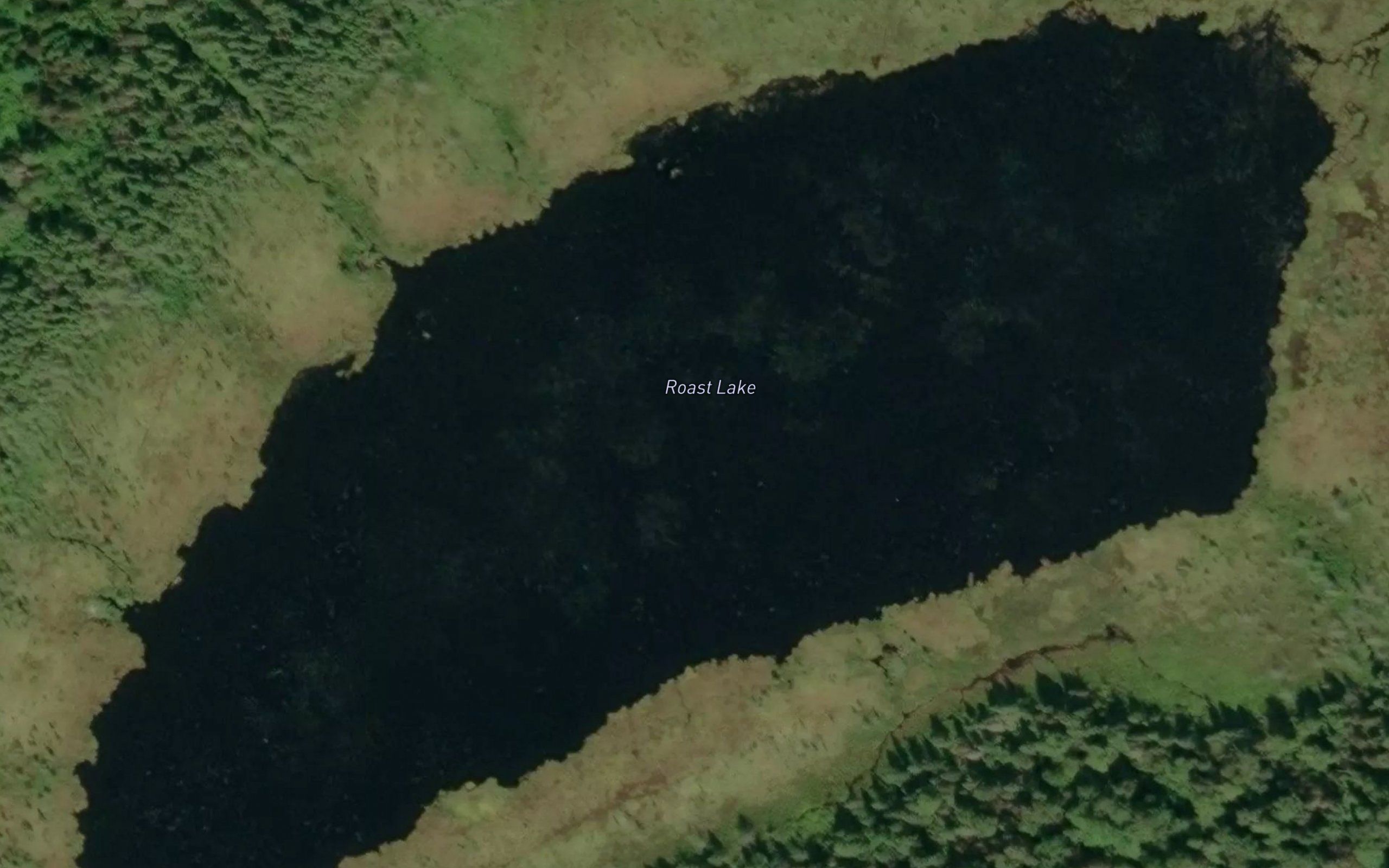 Roast Lake
