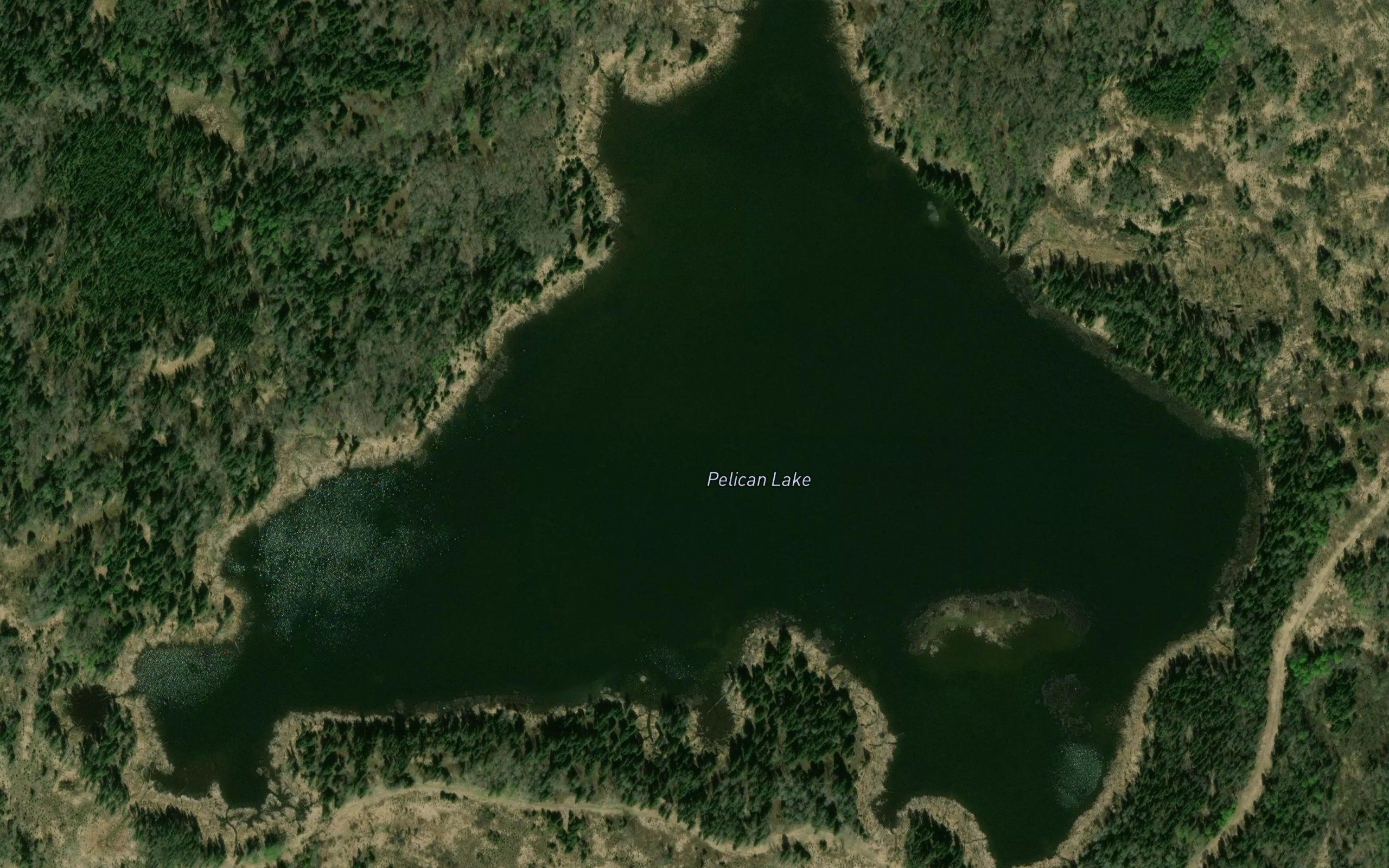 Pelican Lake