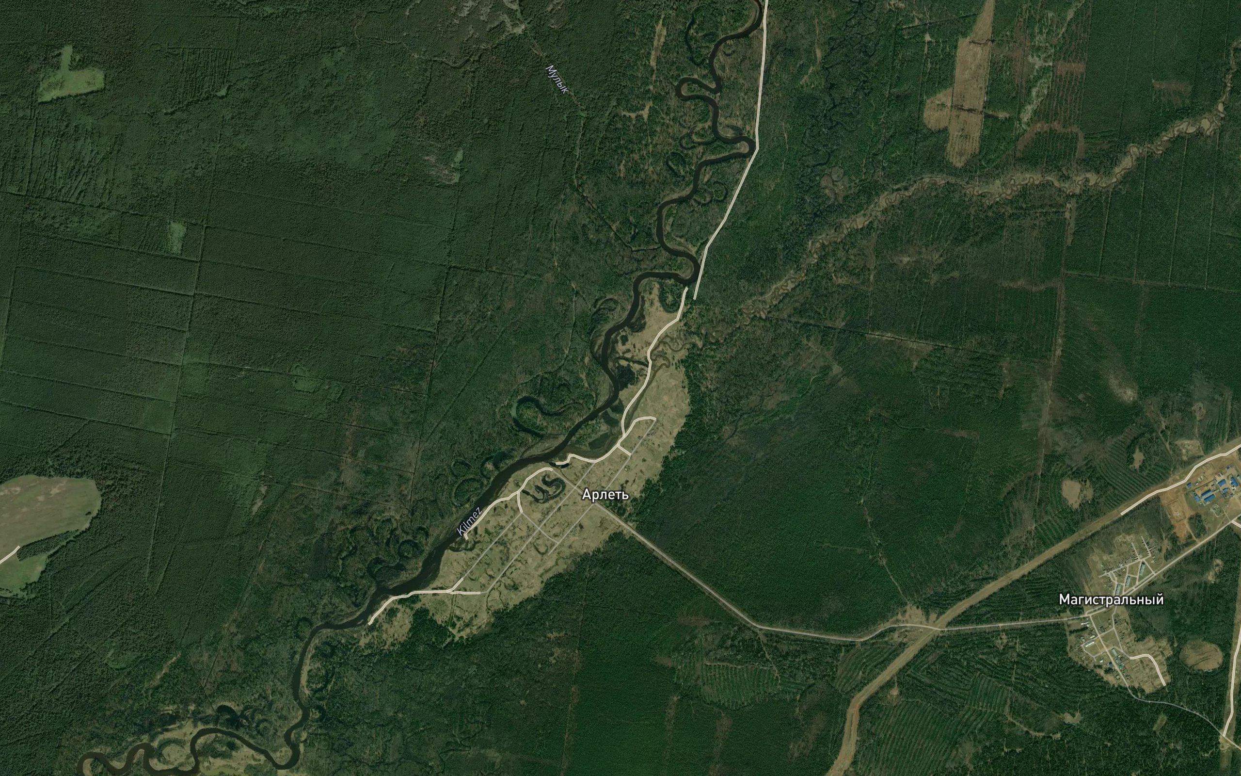 Kutyk