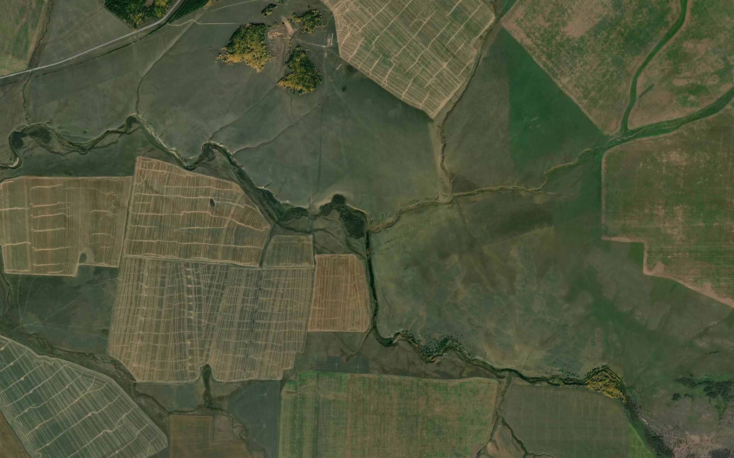 Sagarevskiy