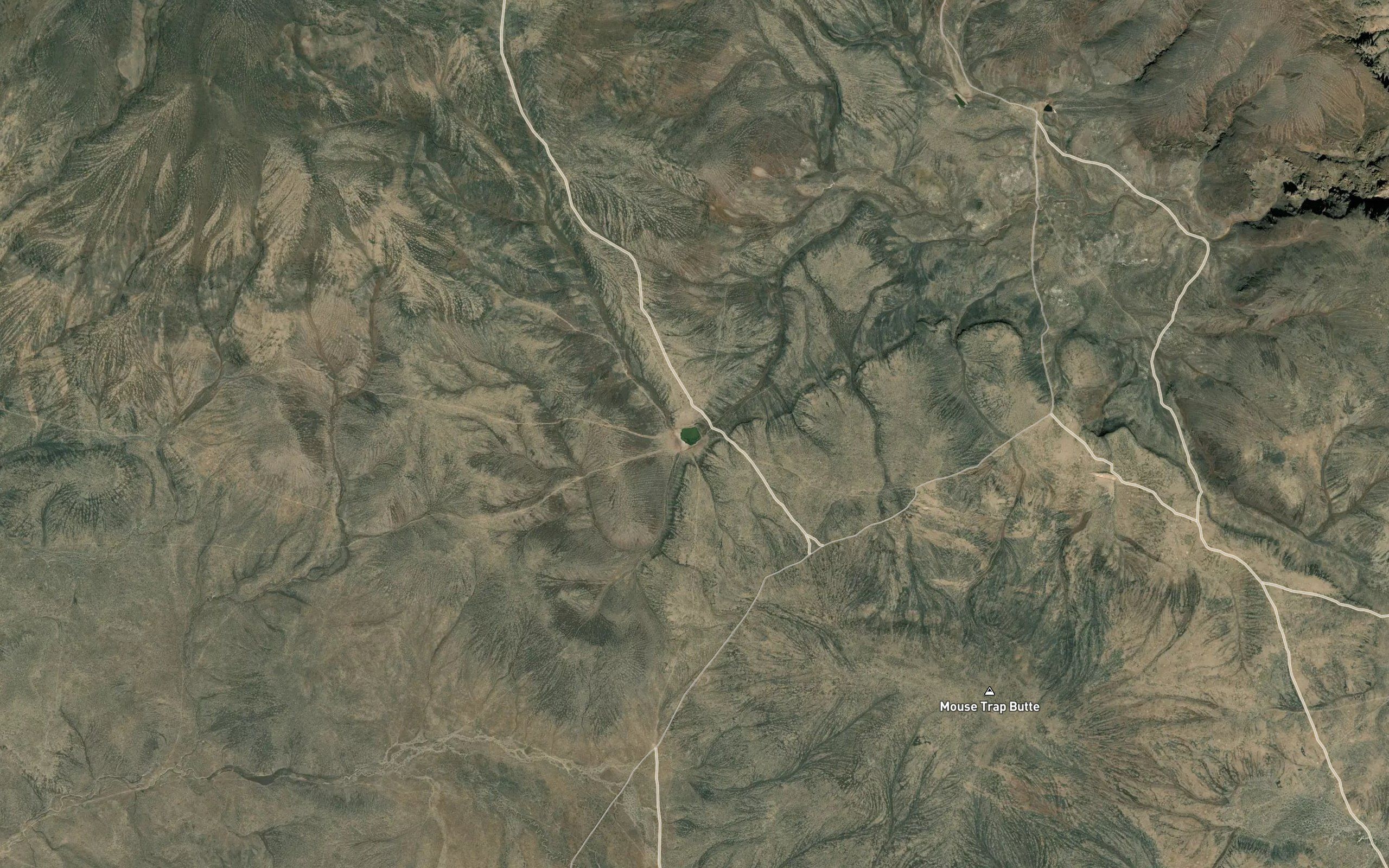 Scale Reservoir