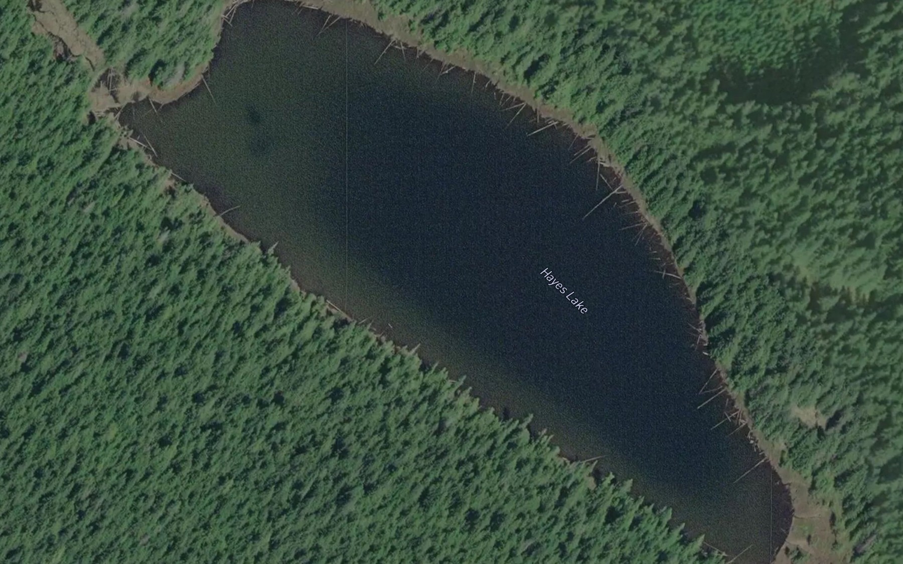 Satellite map of the Hayes Lake