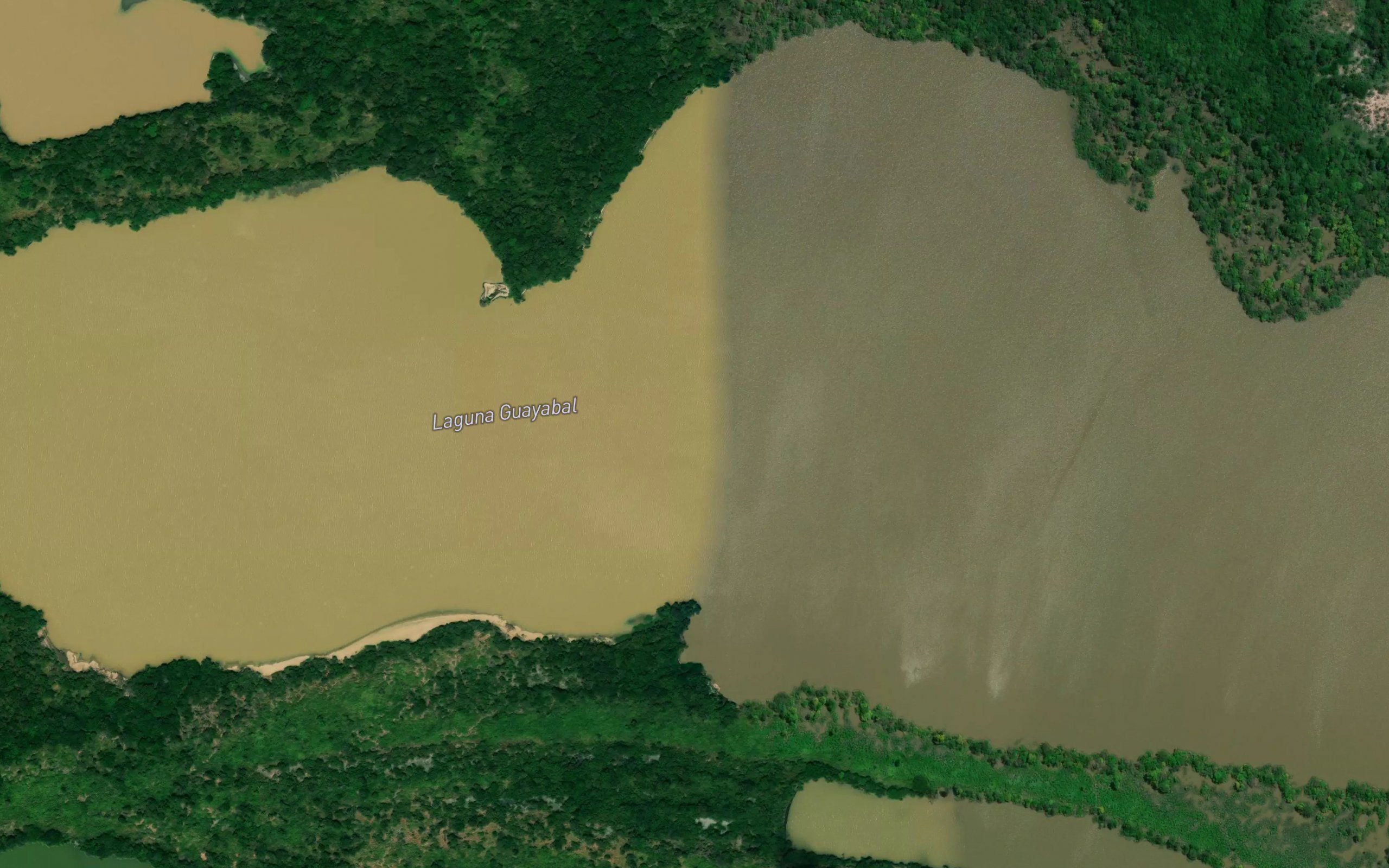 Laguna Guayabal