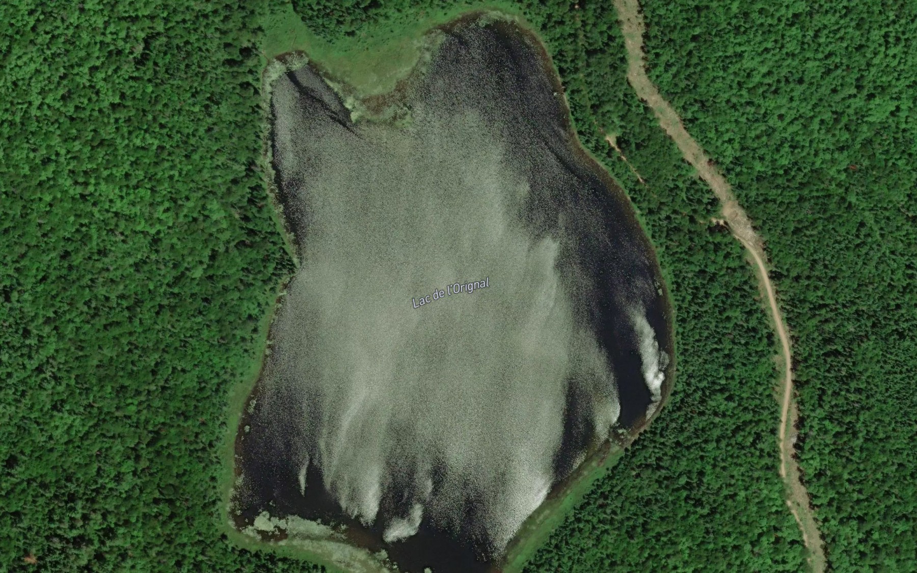 Satellite map of the Lac de l'Orignal