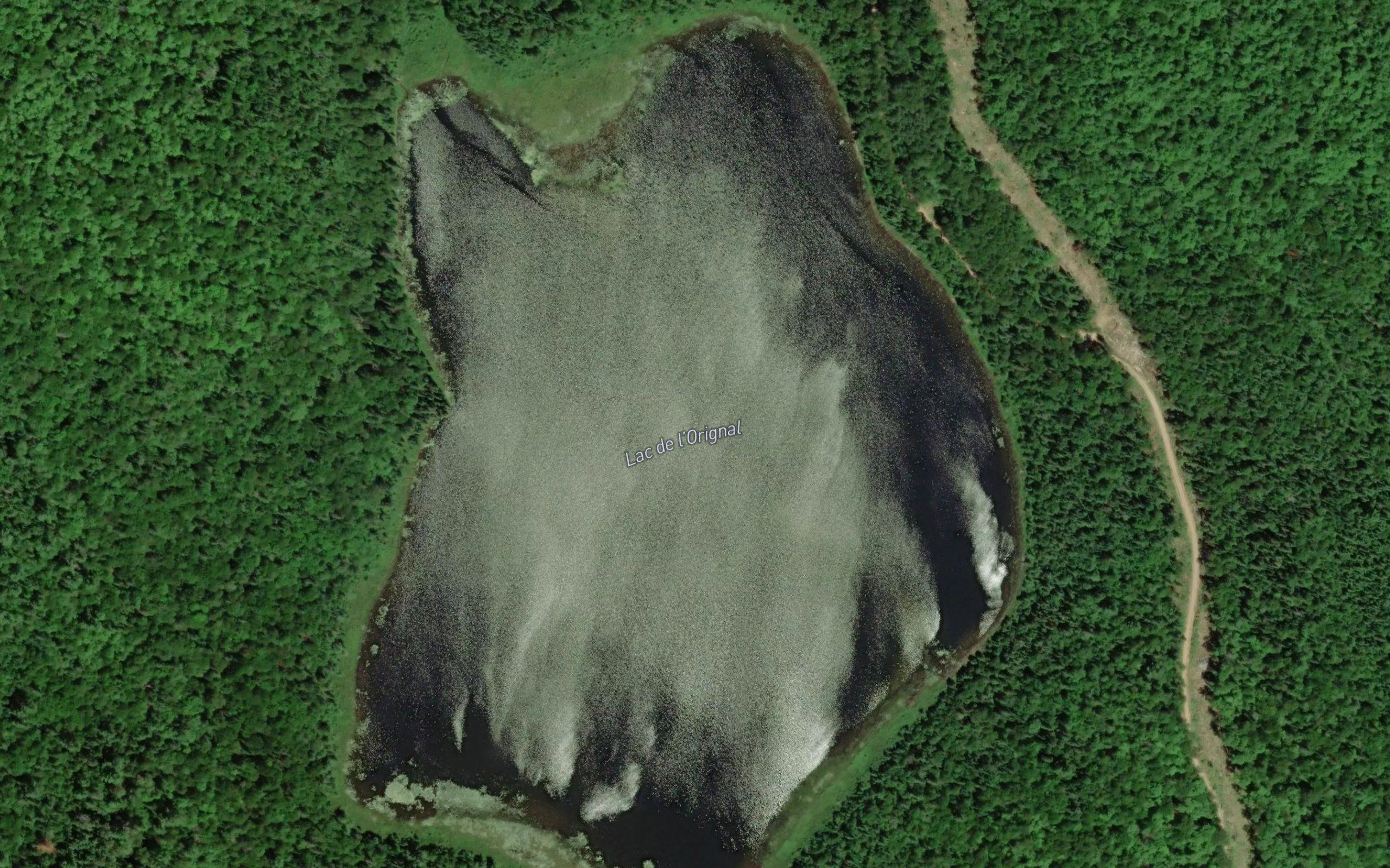 Lac de l'Orignal