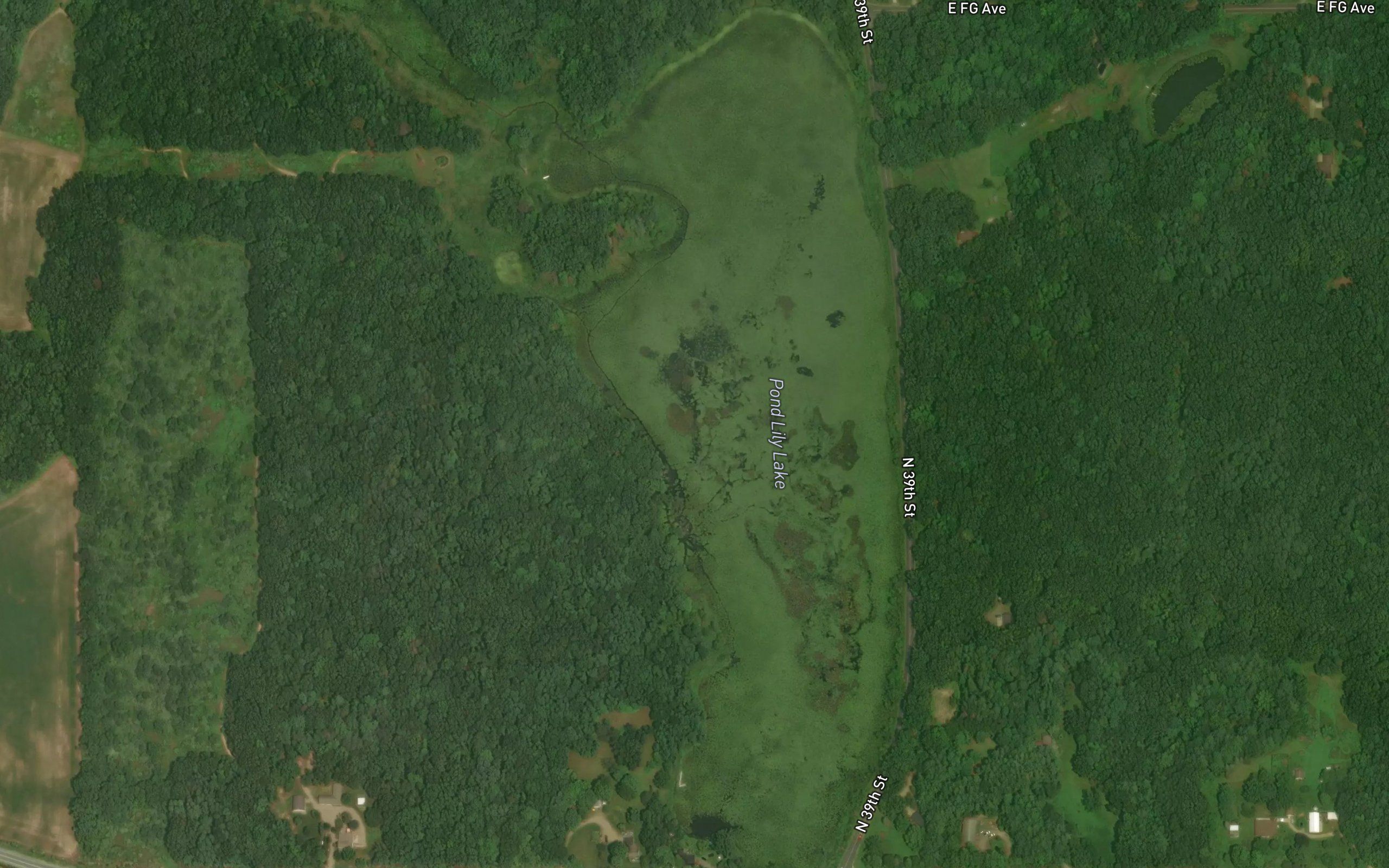Pond Lily Lake
