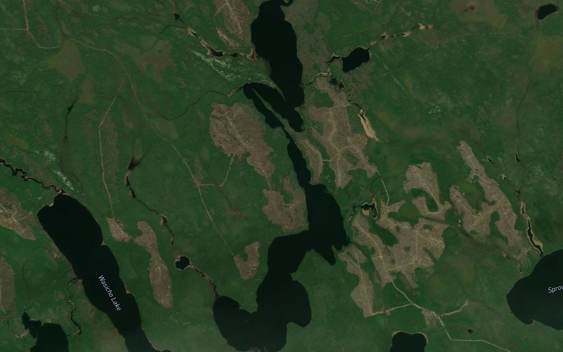 Satellite map of the Springer Lake