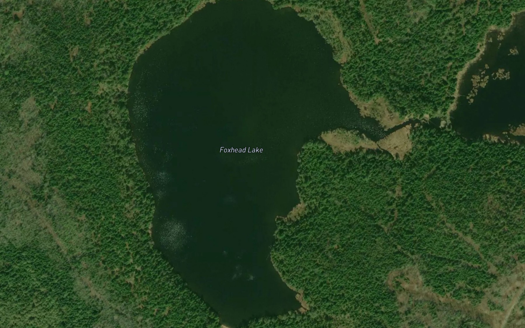 Satellite map of the Foxhead Lake
