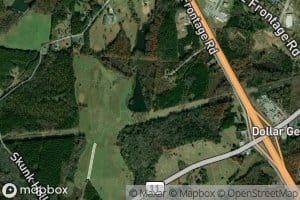 D Honey Number One Pond